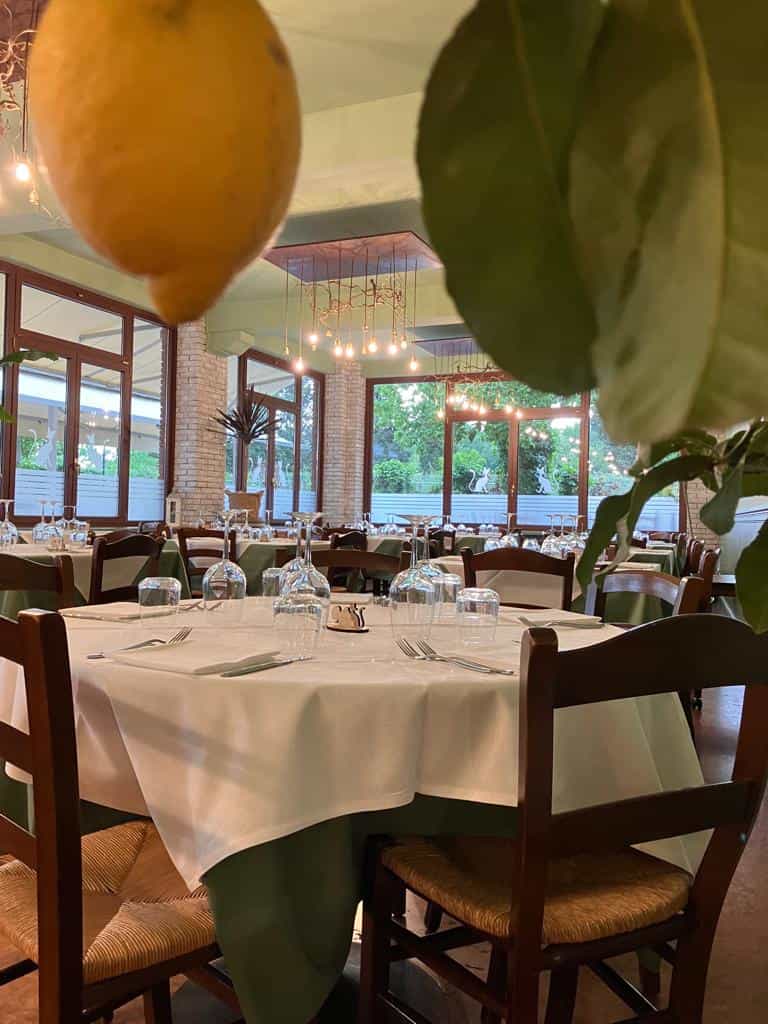 Immagine di copertina del ristorante Ristorante Gatto Moro