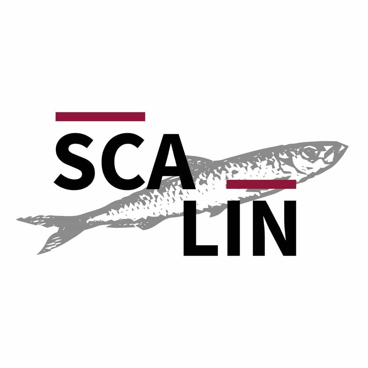 Immagine di copertina del ristorante Osteria Scalin