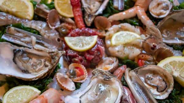 Immagine di copertina del ristorante L'Ostricaio