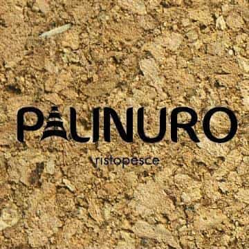 Immagine di copertina del ristorante Palinuro