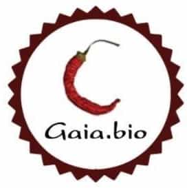 Immagine di copertina del ristorante GAIA BIO