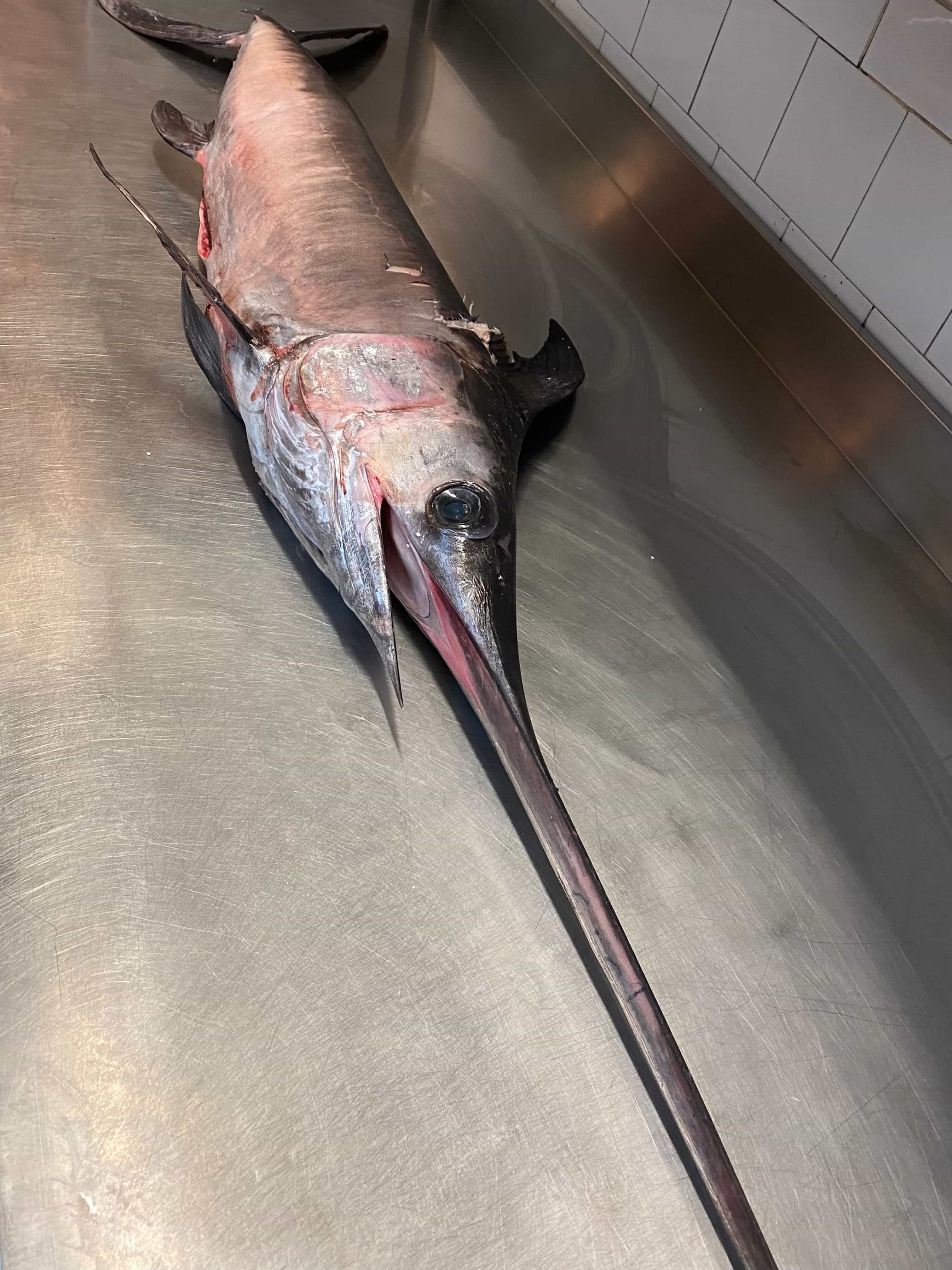 Immagine di copertina del ristorante La Lampara