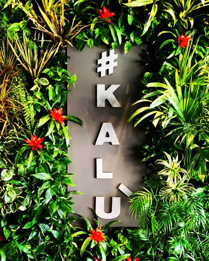 Immagine di copertina del ristorante Kalù