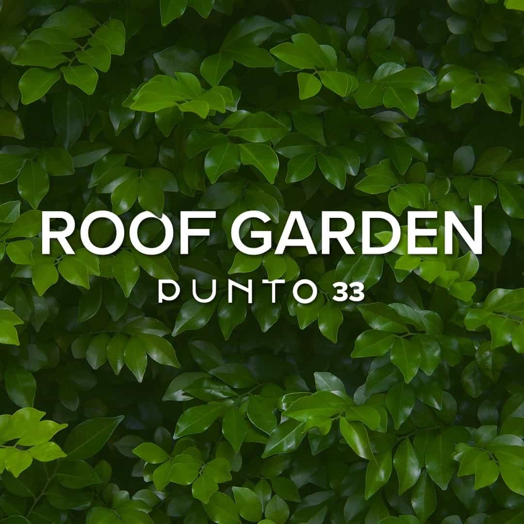 Immagine di copertina del ristorante Roof Garden Punto 33