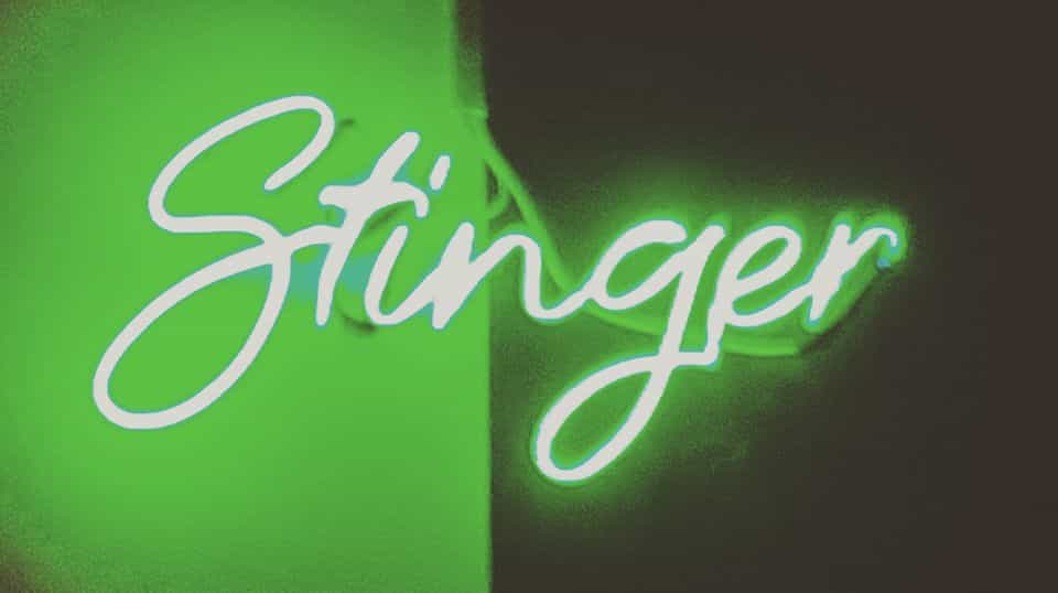 Immagine di copertina del ristorante Stinger