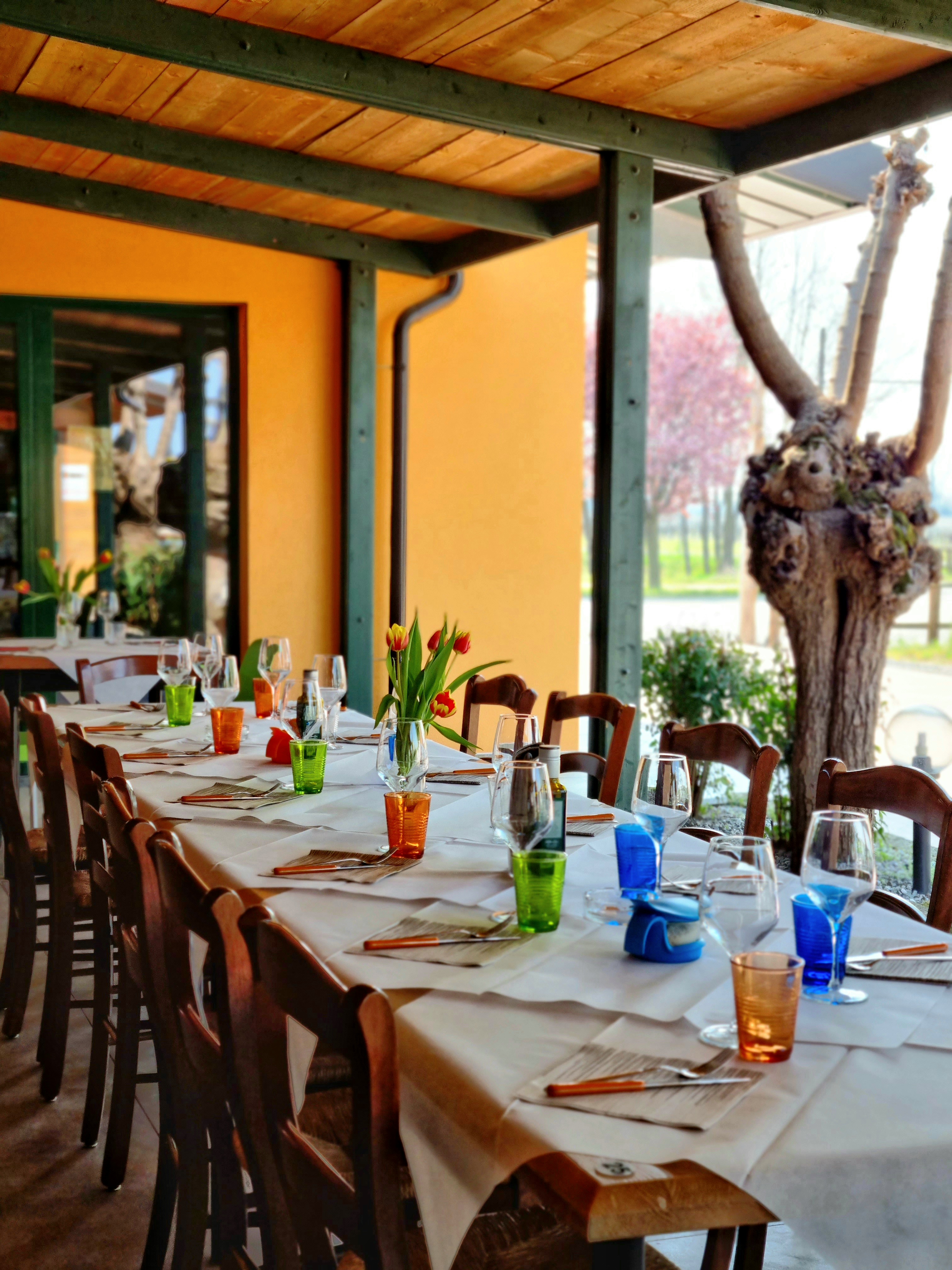 Azienda Agricola Cason Mortegliano - Ristorante a Mortegliano