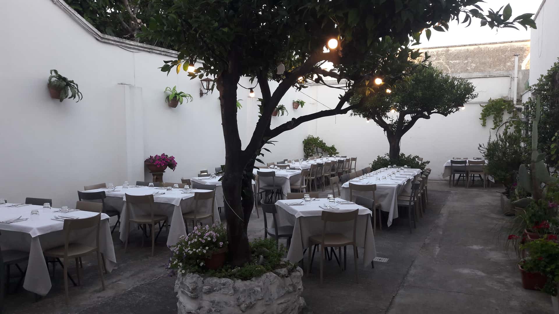 Baccanera - Ristorante a Campi Salentina