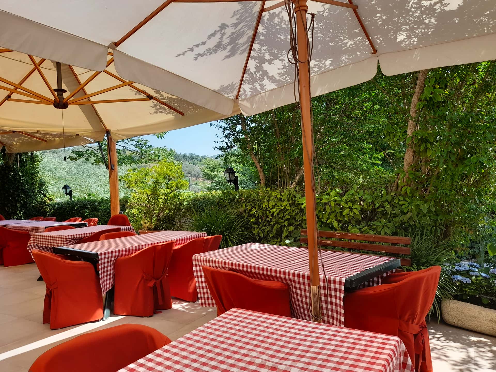 TRATTORIA AL CANTINON - Cucina tradizionale dei COLLI EUGANEI - Padova - Ristorante a Cinto Euganeo