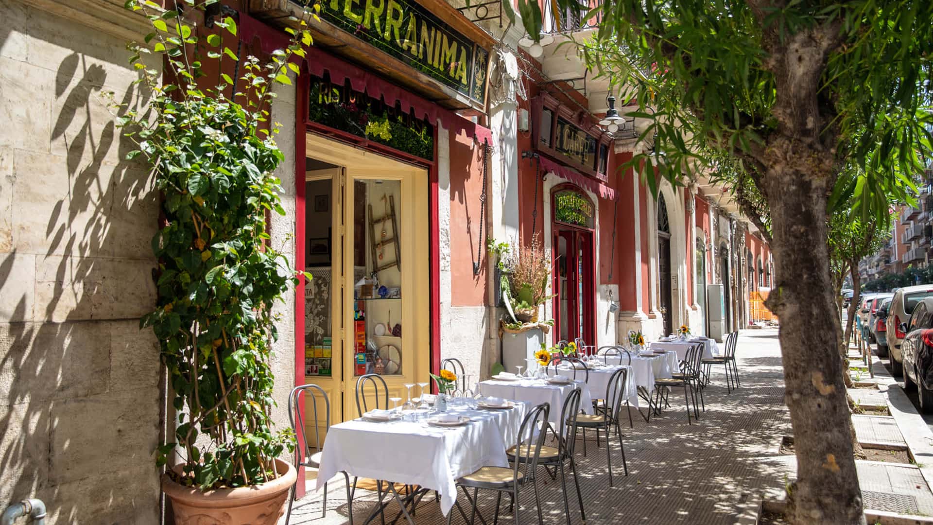Terranima - Ristorante di cucina tipica pugliese - Ristorante a Bari