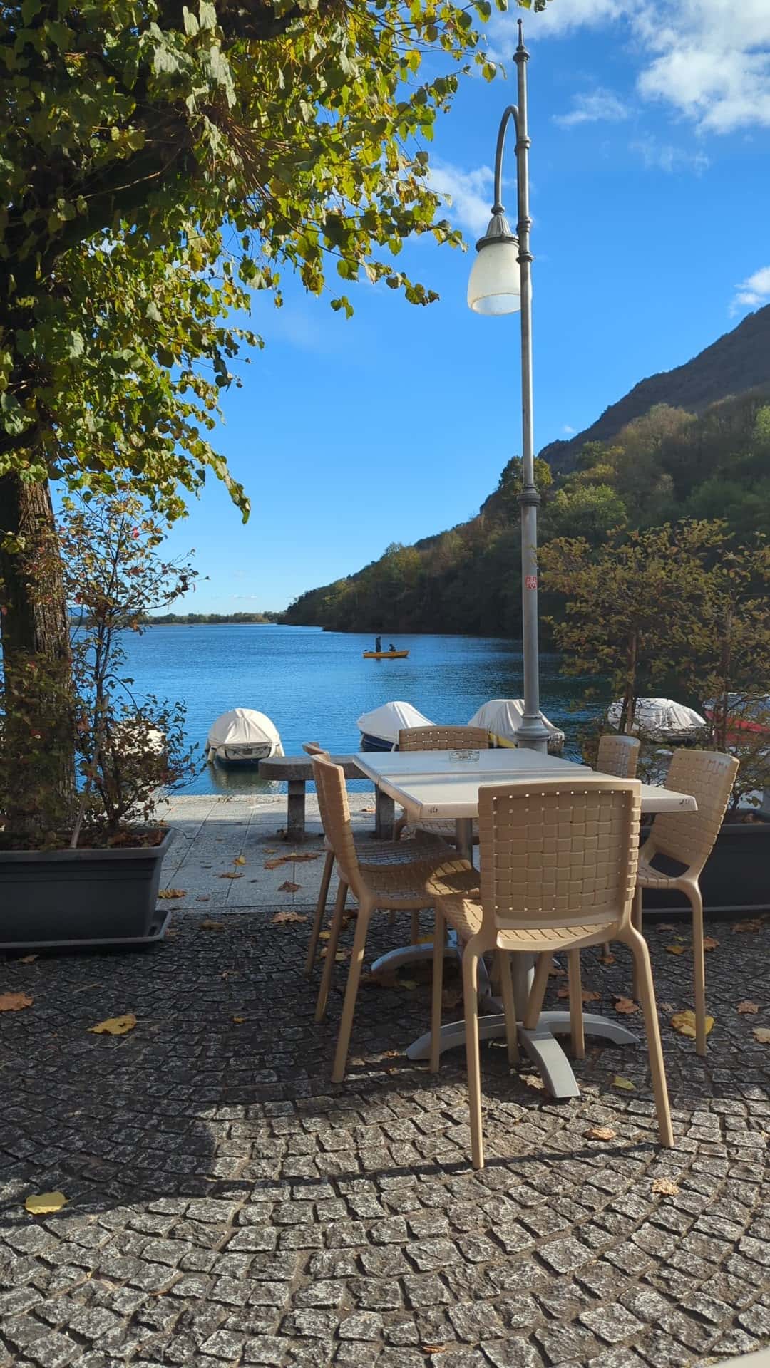 Bar Ristorante Vecchio Olmo - Ristorante a Mergozzo