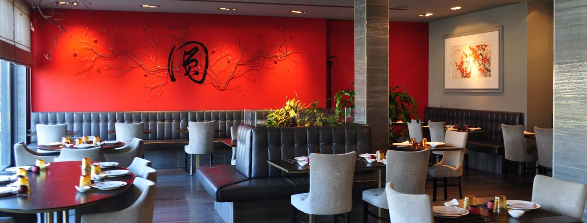 Ristorante Dong - Ristorante a San Lazzaro di Savena