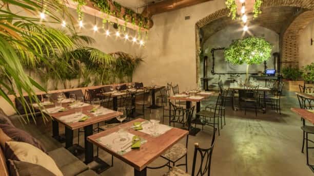 CLOROFILLA - Cucina e Distillati - Ristorante a Roma