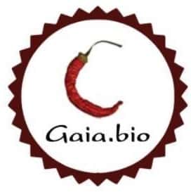 GAIA BIO - Ristorante a Roma