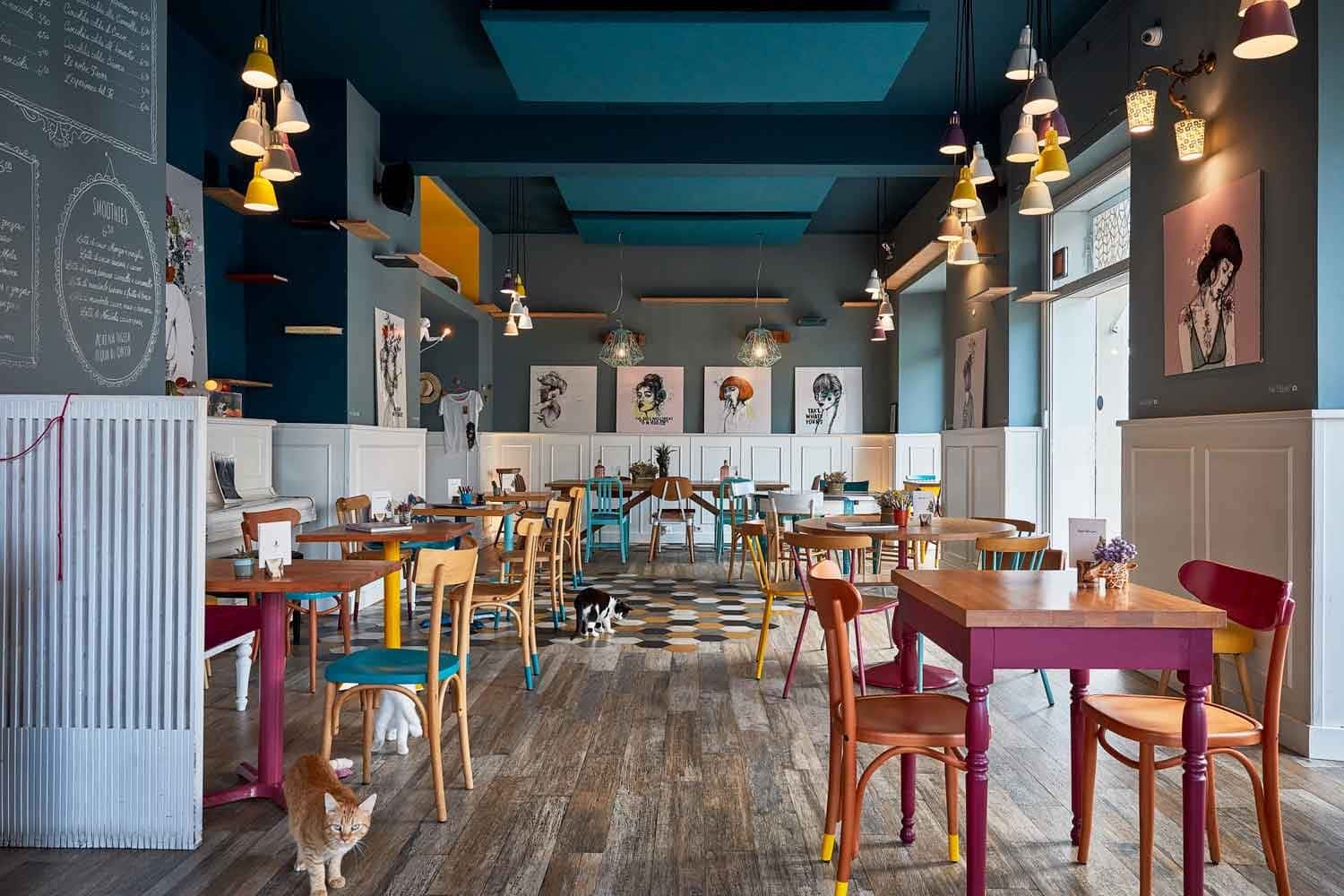 Romeow Cat Bistrot - Ristorante a Roma