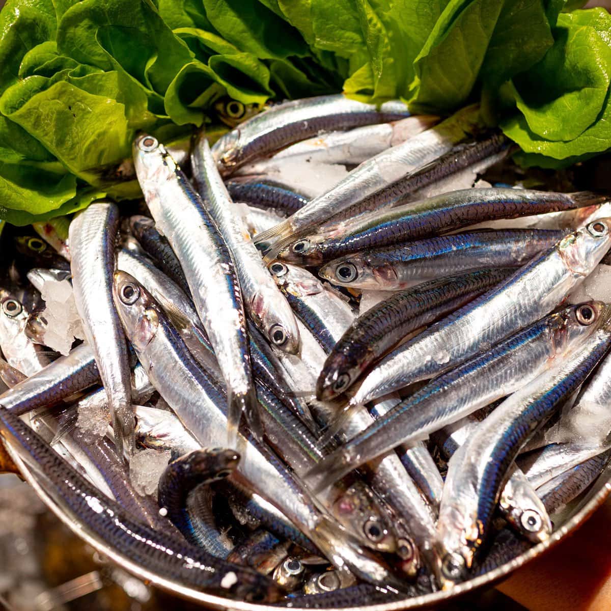Pesce Baracca - Ristorante a Forte dei Marmi