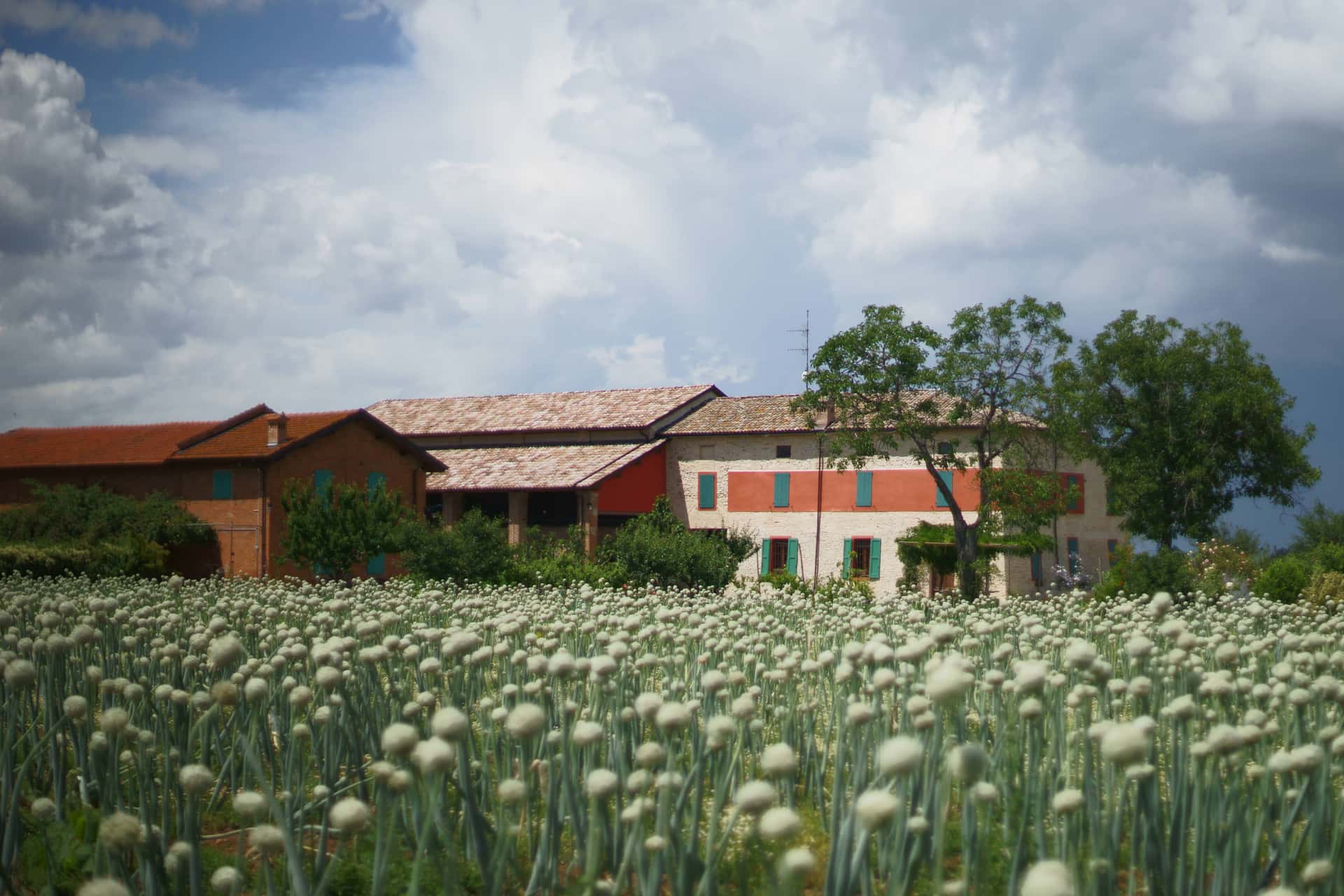 Podere Casarossa - Ristorante a Parma