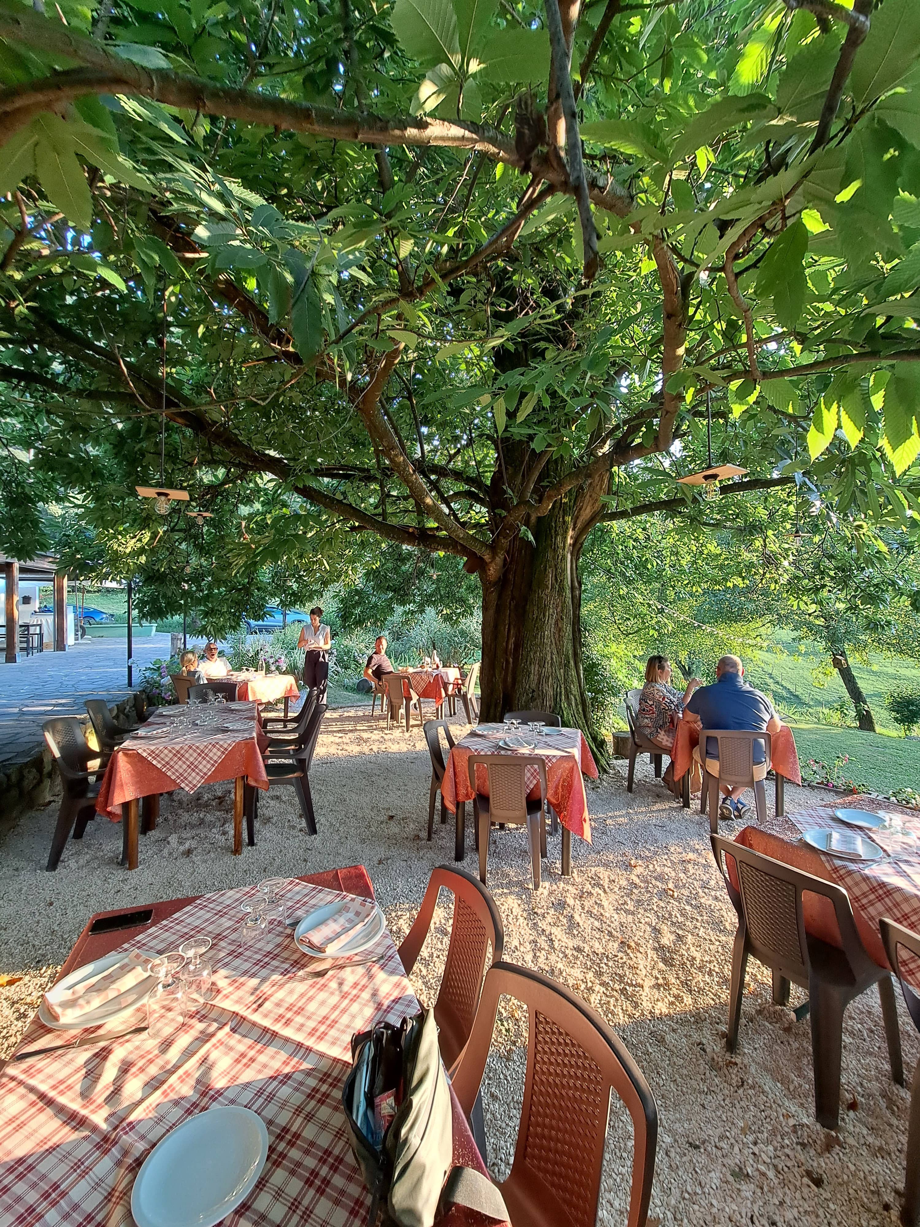 Immagine di copertina del ristorante Trattoria Il Toscano