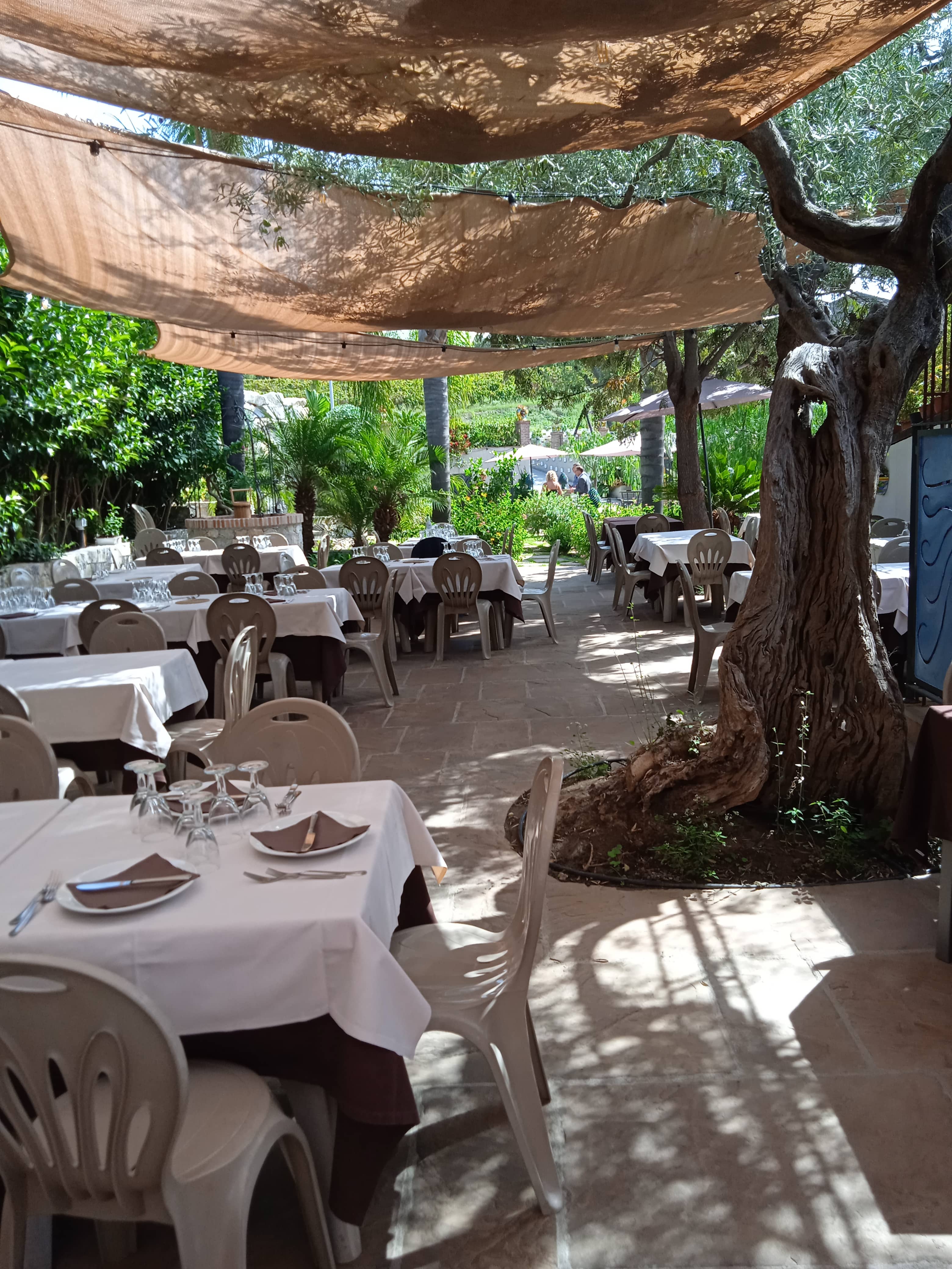Immagine di copertina del ristorante trattoria Pizzeria La Pergola