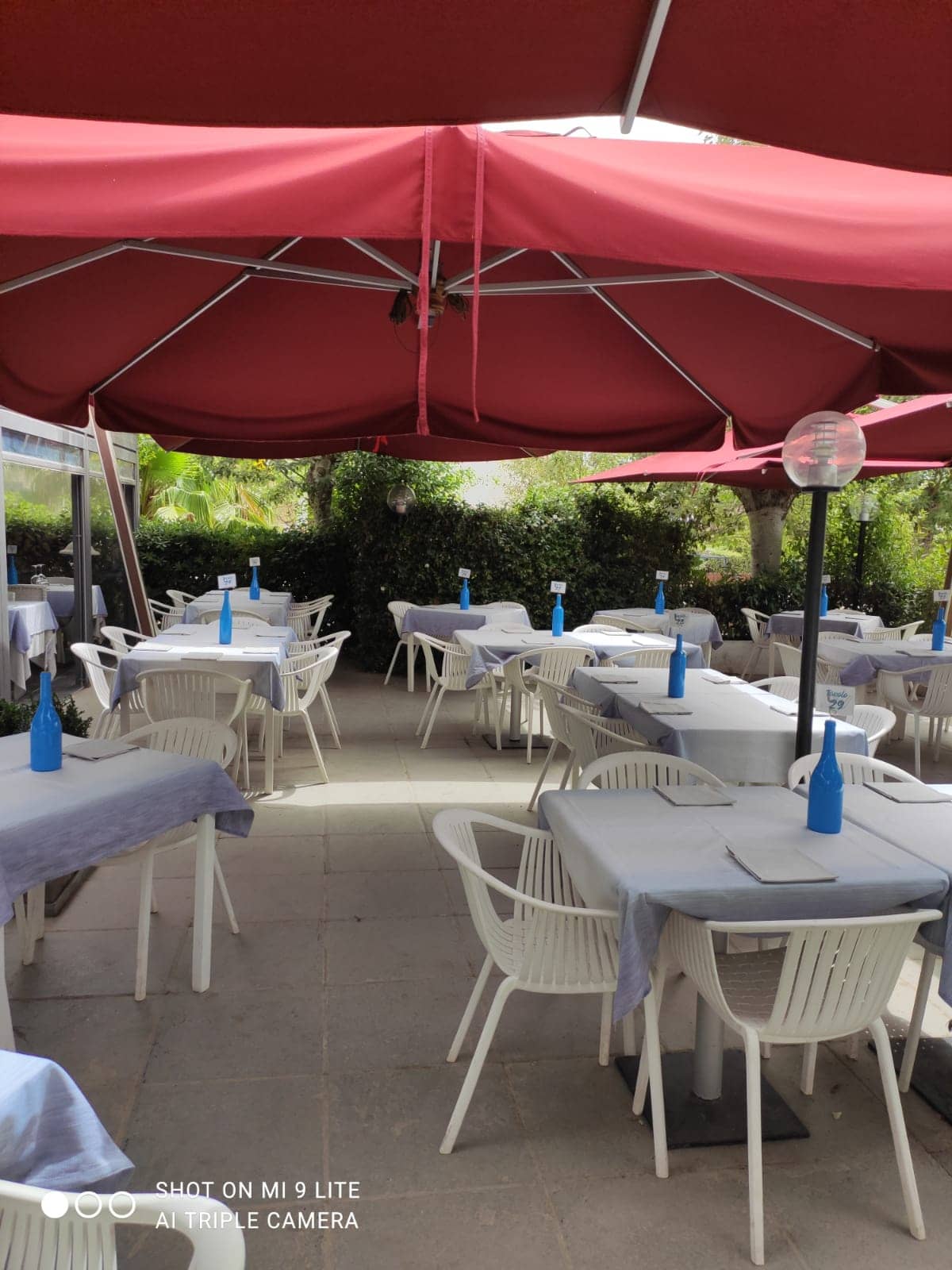 Immagine di copertina del ristorante Le Vele