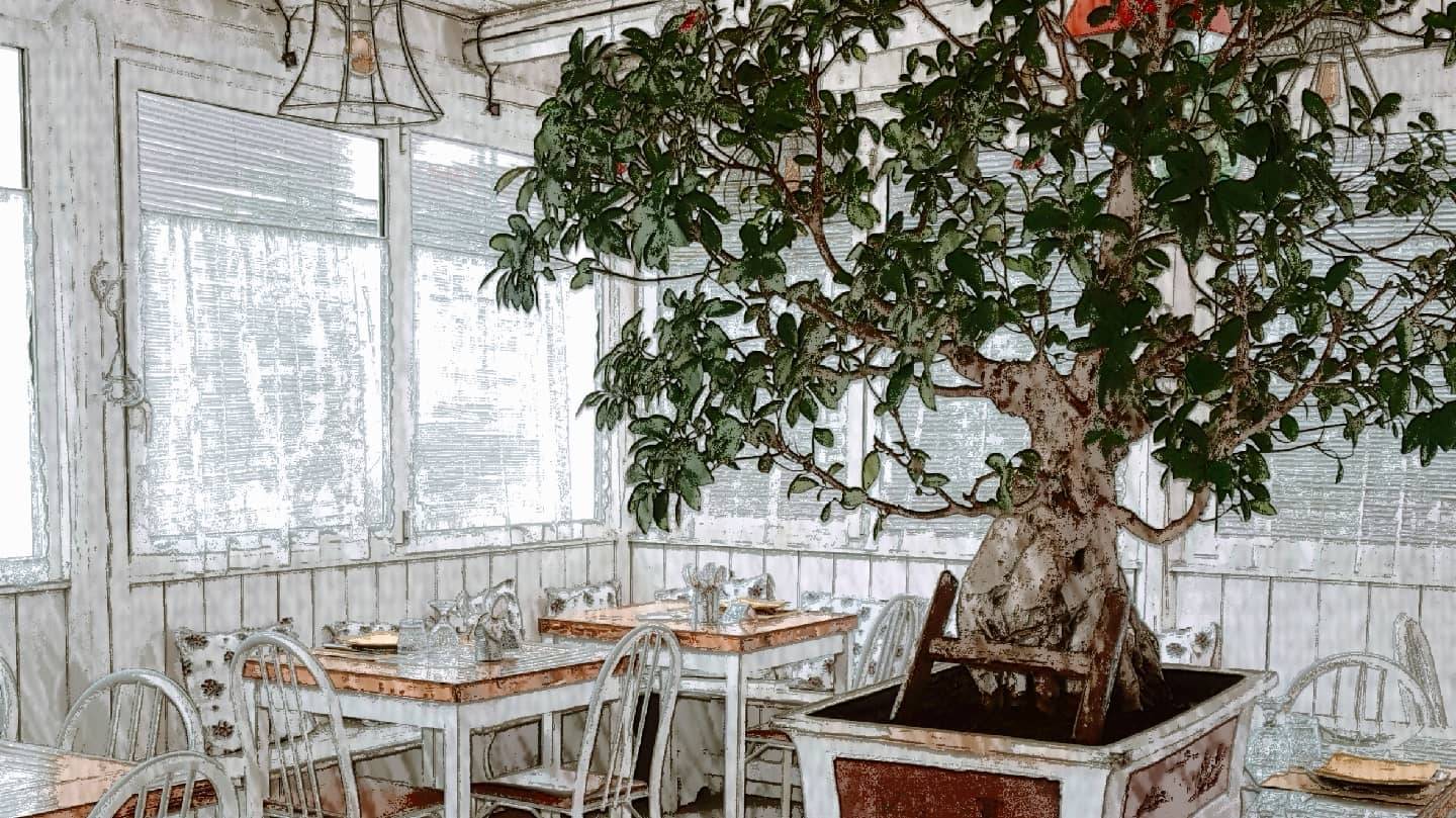 Immagine di copertina del ristorante Cesarino 36