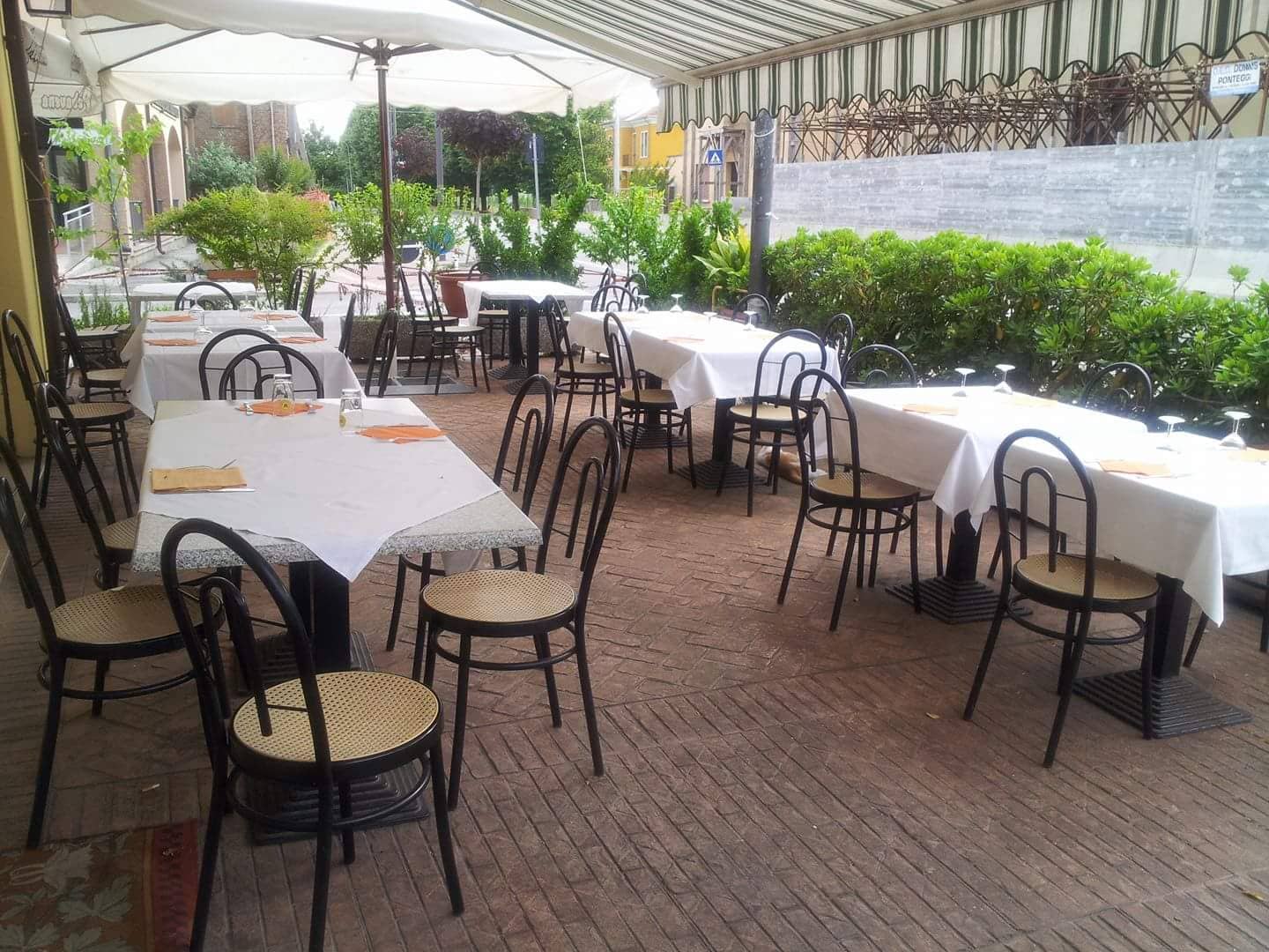 Immagine di copertina del ristorante Gatto Matto &quot;Da Nino&quot;