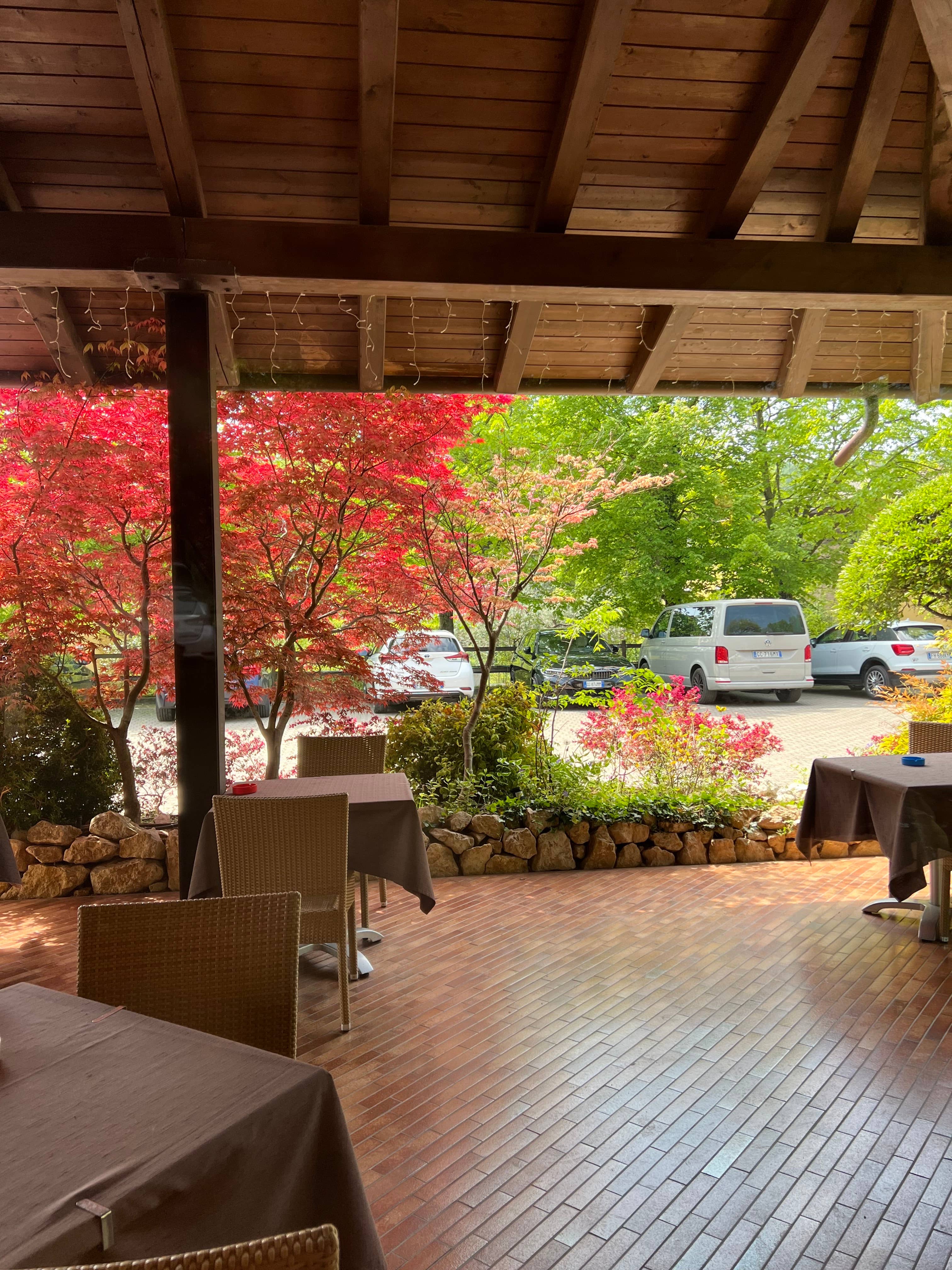 Immagine di copertina del ristorante Osteria la Cicala