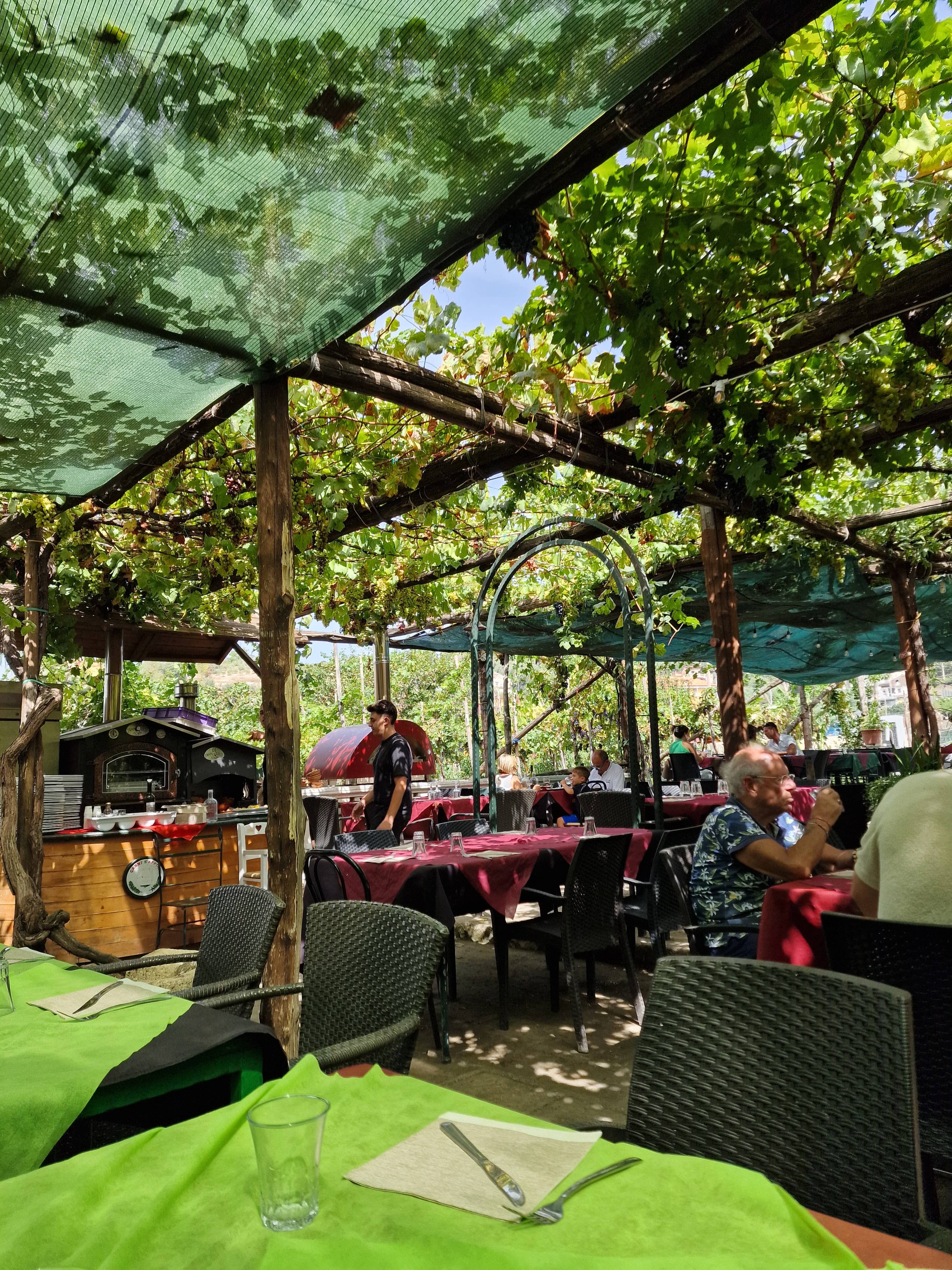 Immagine di copertina del ristorante Agriturismo Il Vigneto - Società Agricola