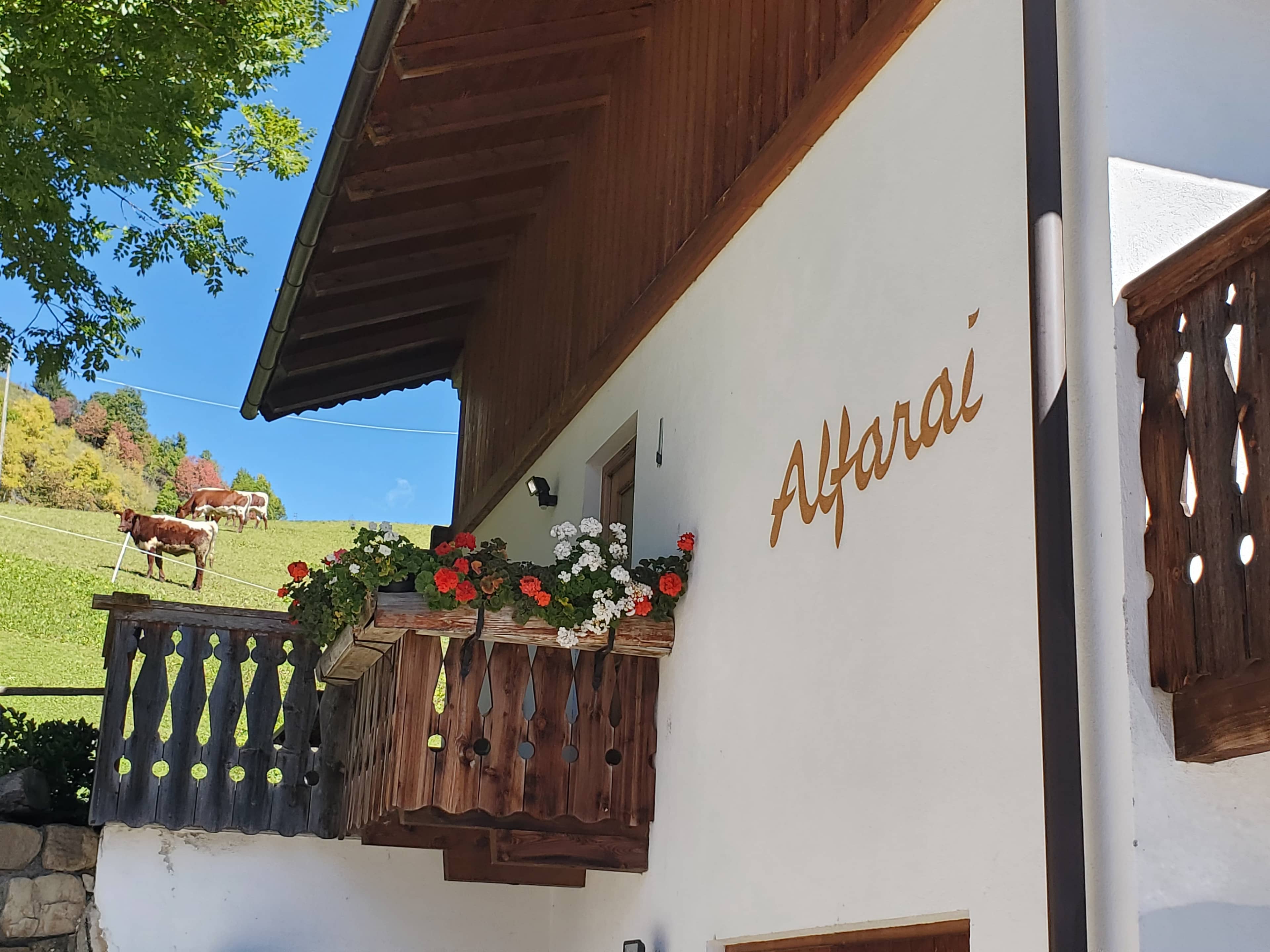 Immagine di copertina del ristorante Maso Alfar&euml;i Hof