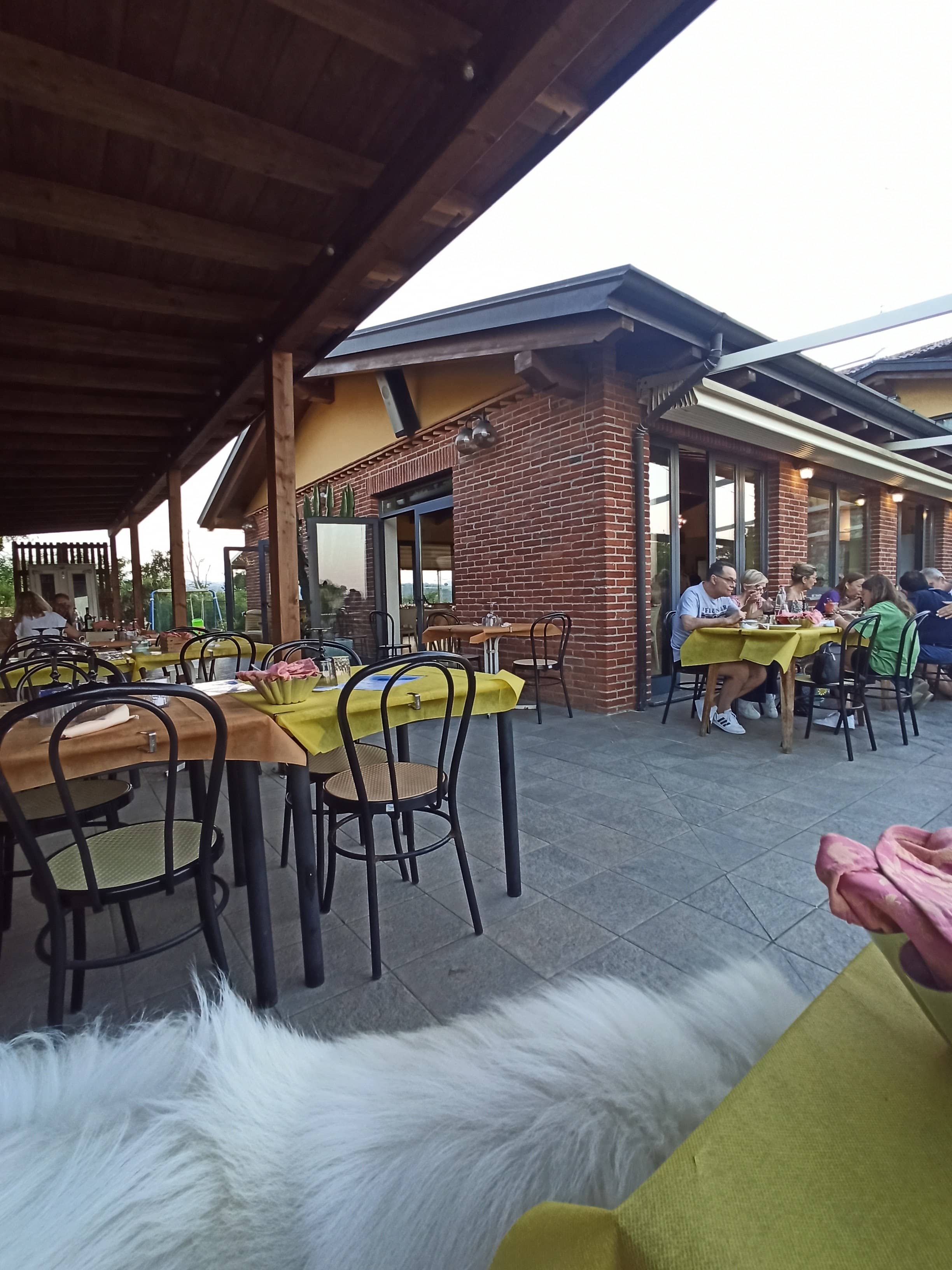 Immagine di copertina del ristorante Trattoria Bar Belvedere