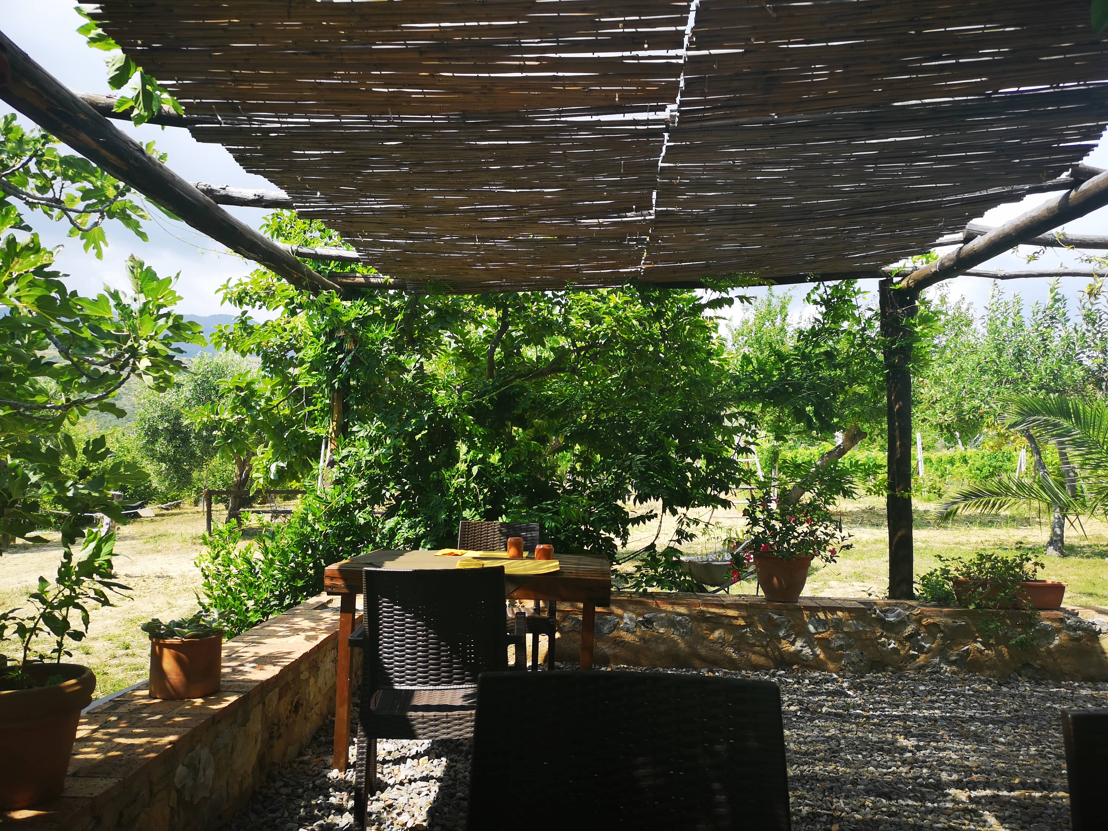 Immagine di copertina del ristorante Azienda Agricola Oasi Infreschi