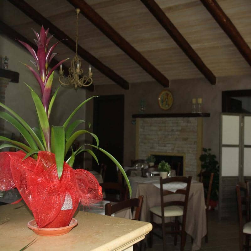 Immagine di copertina del ristorante Buonanotte Resort - Agriturismo