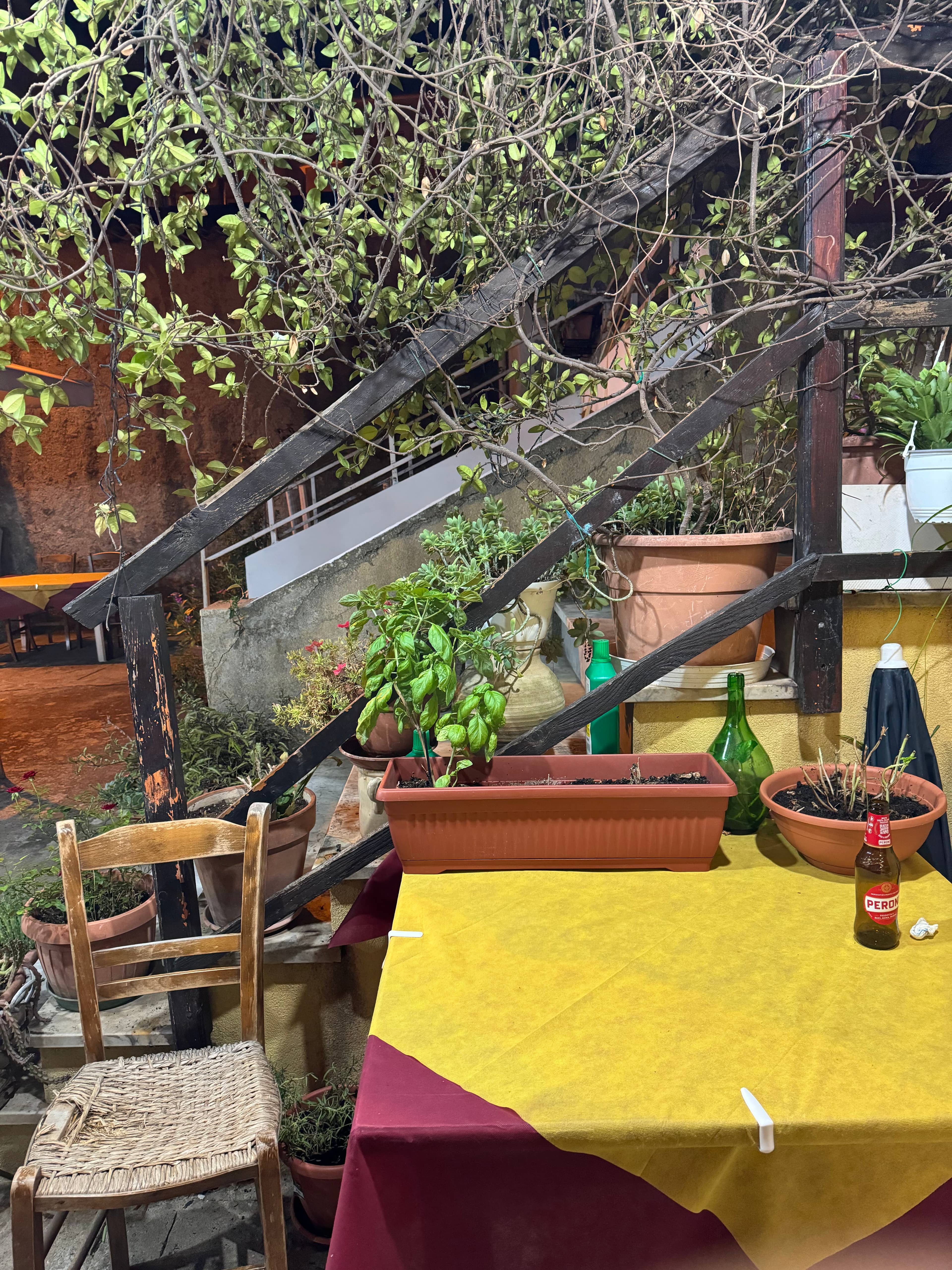 Immagine di copertina del ristorante Trattoria da Graziella