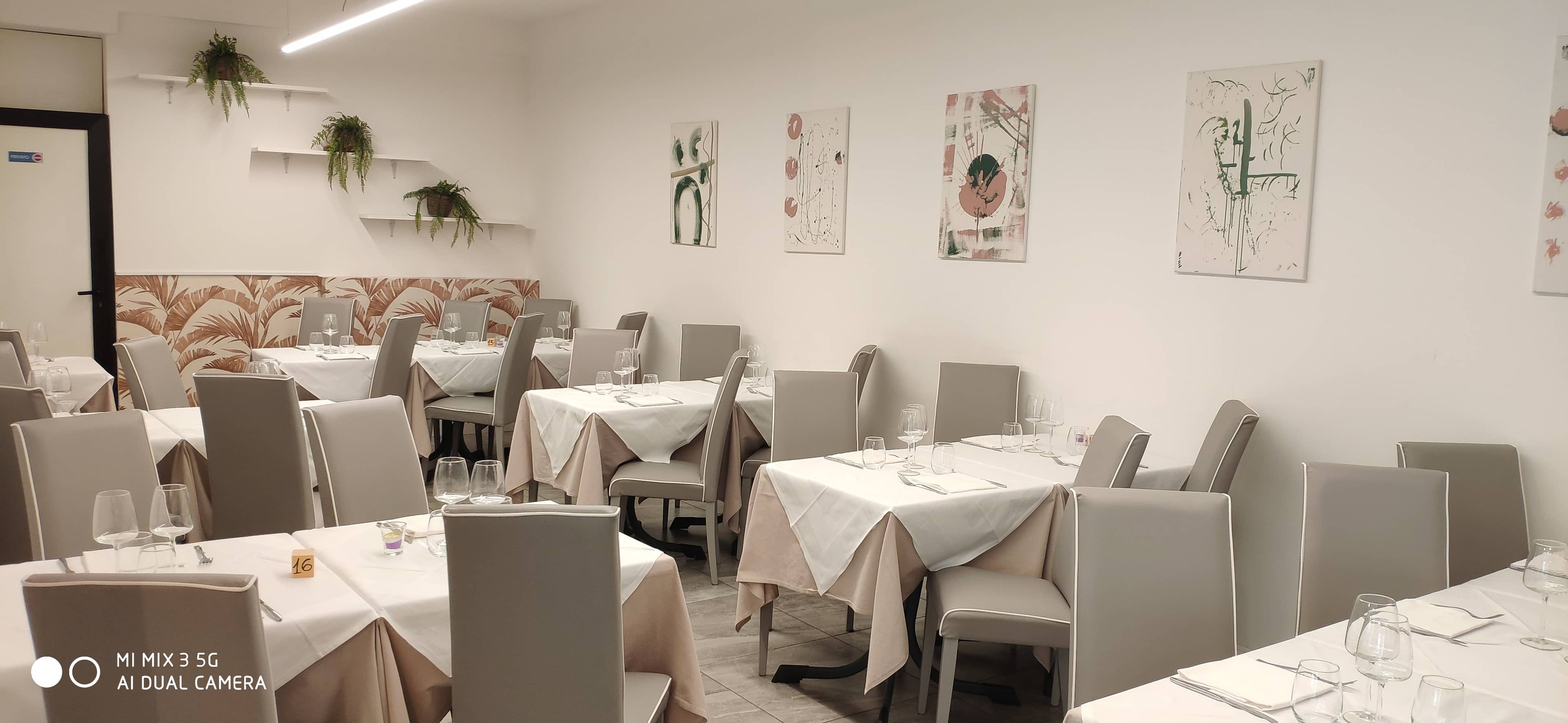 Immagine di copertina del ristorante Trattoria Pizzeria Il Nuovo Canton da Robertino
