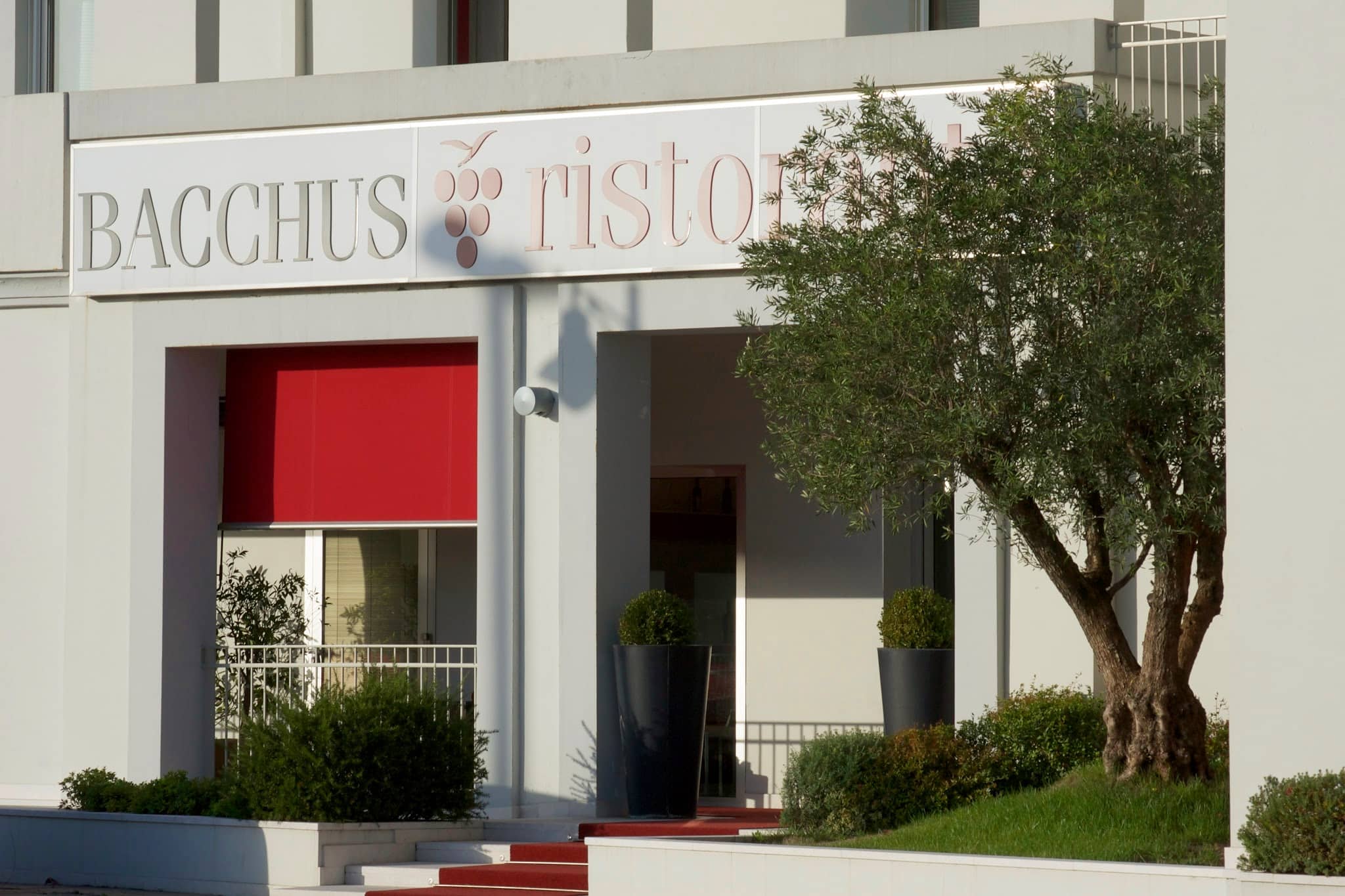 Immagine di copertina del ristorante Bacchus Ristorante