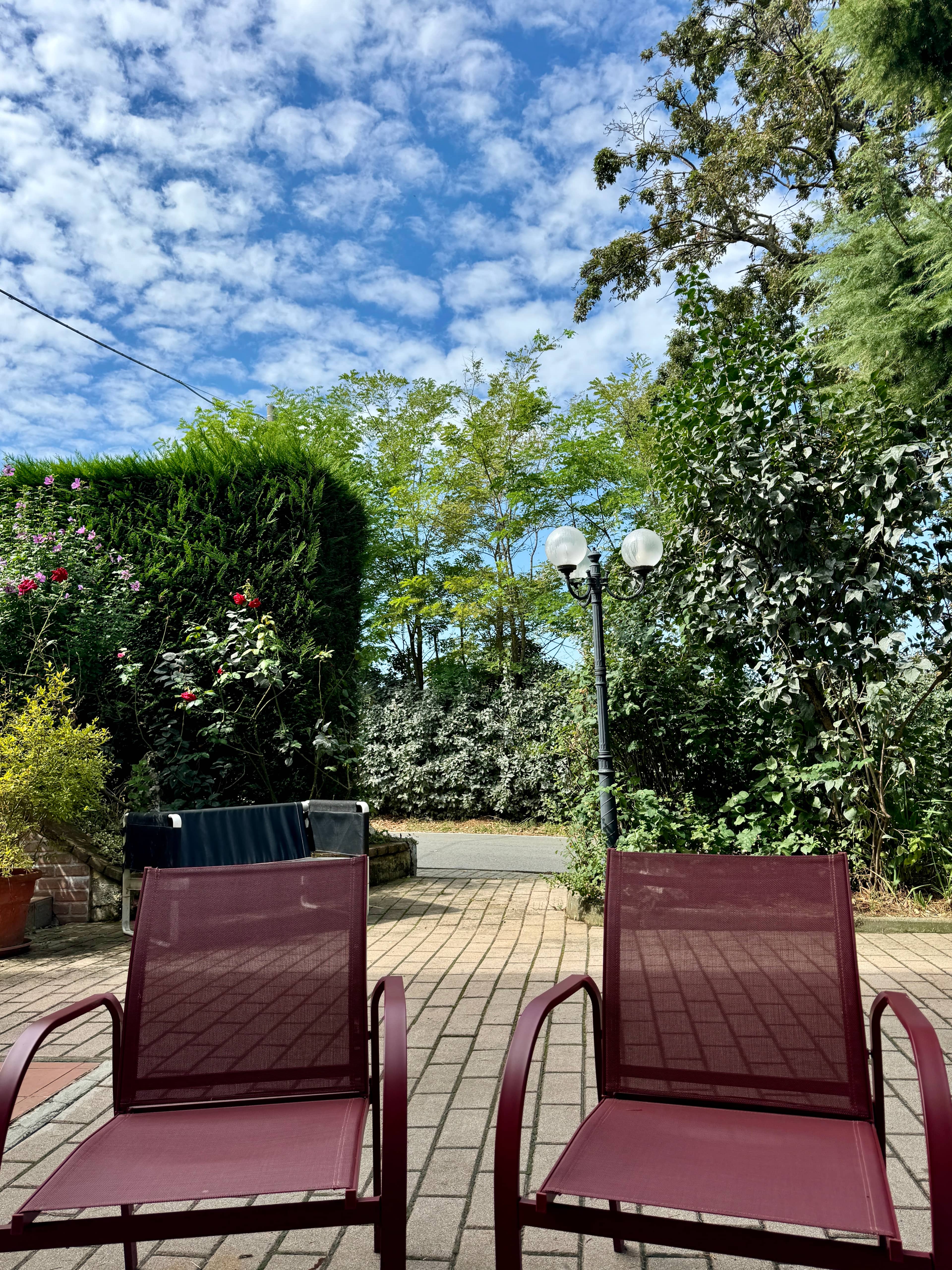 Immagine di copertina del ristorante Albergo Ristorante Belvedere