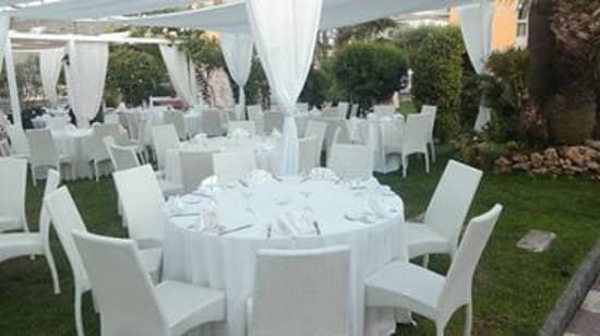 Immagine di copertina del ristorante Ristorante-Pizzeria &quot;Palm Garden&quot;