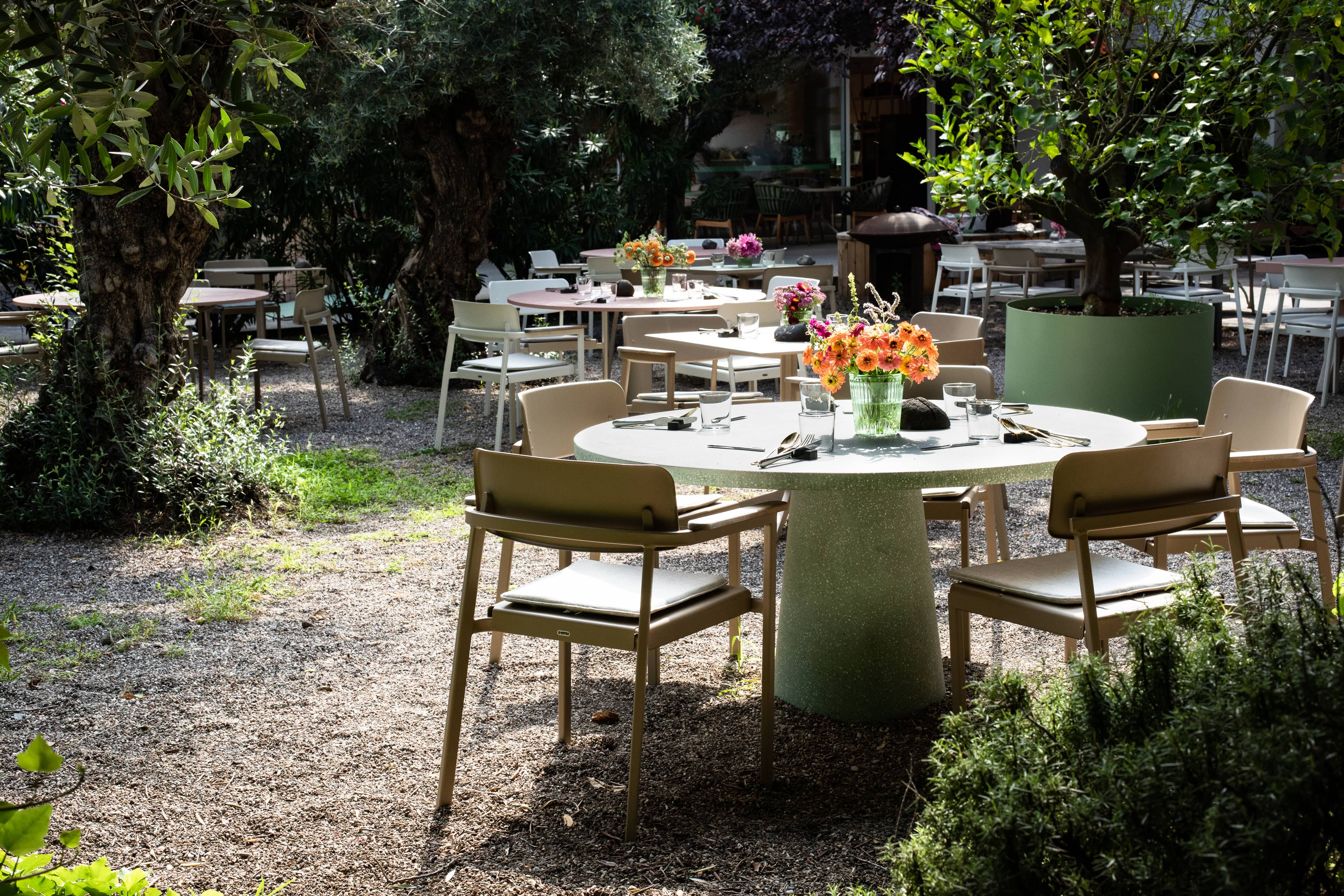 Immagine di copertina del ristorante Restaurant Bistro Alma9