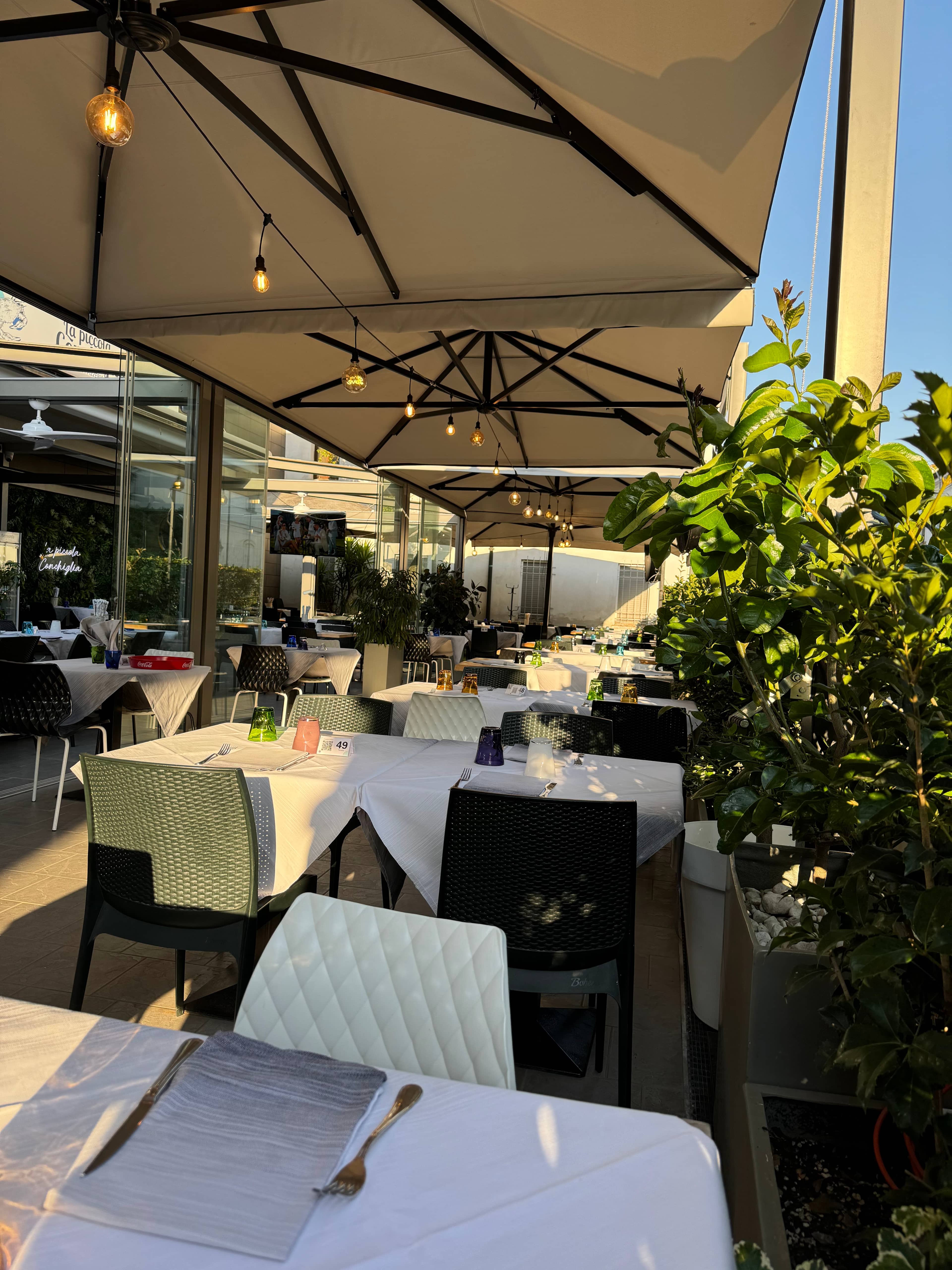 Immagine di copertina del ristorante La piccola Conchiglia