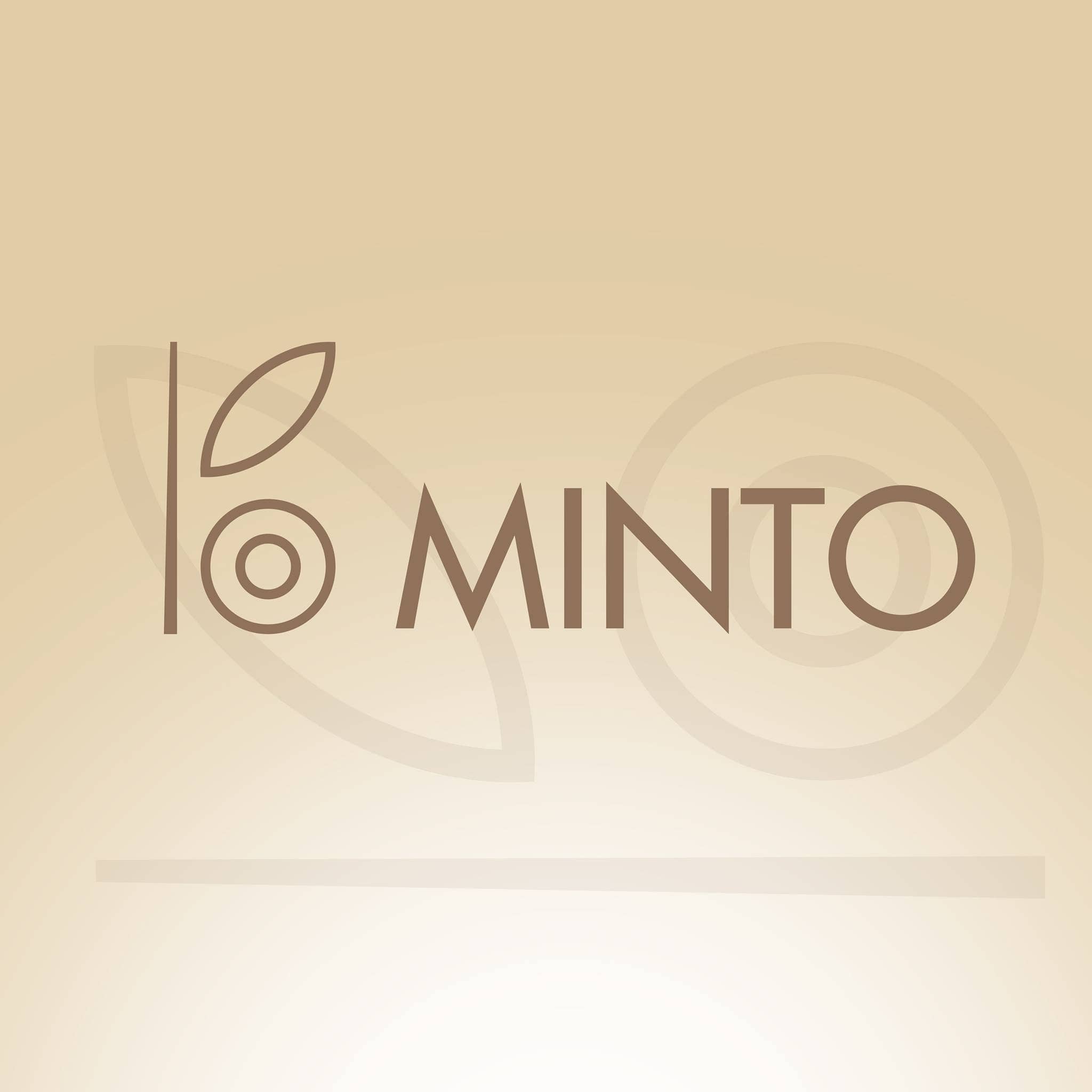 Immagine di copertina del ristorante Minto