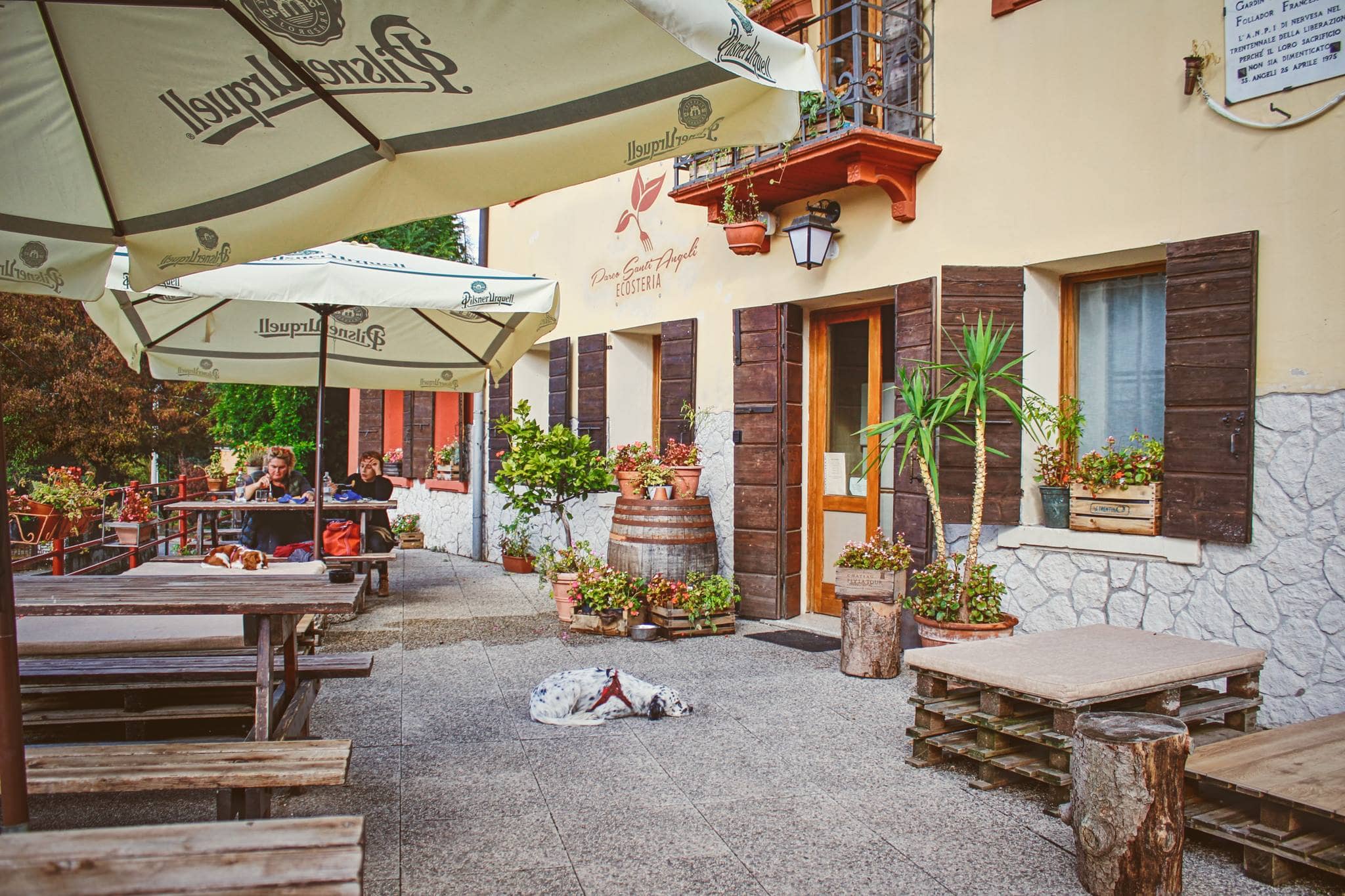 Immagine di copertina del ristorante Ecosteria Parco Santi Angeli
