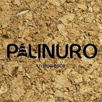 Immagine di copertina del ristorante Palinuro