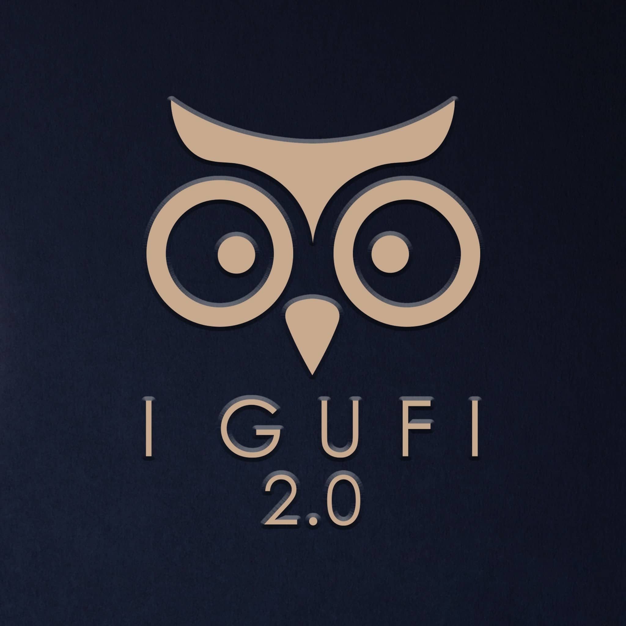 Immagine di copertina del ristorante I Gufi 2.0 