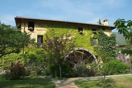 Immagine di copertina del ristorante Molino del Torchio