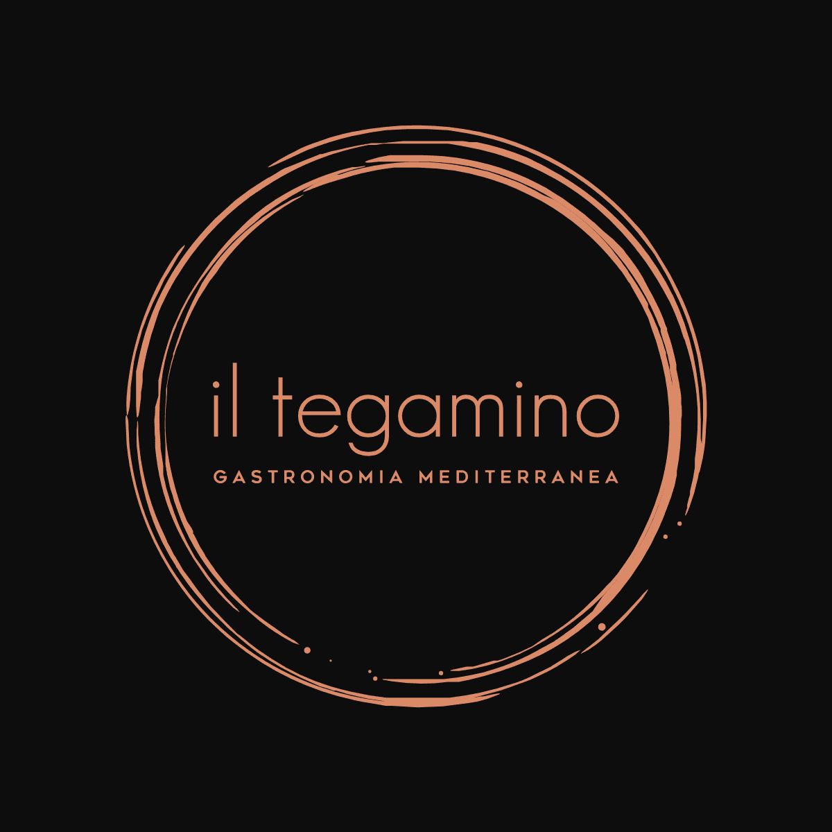 Immagine di copertina del ristorante Il Tegamino