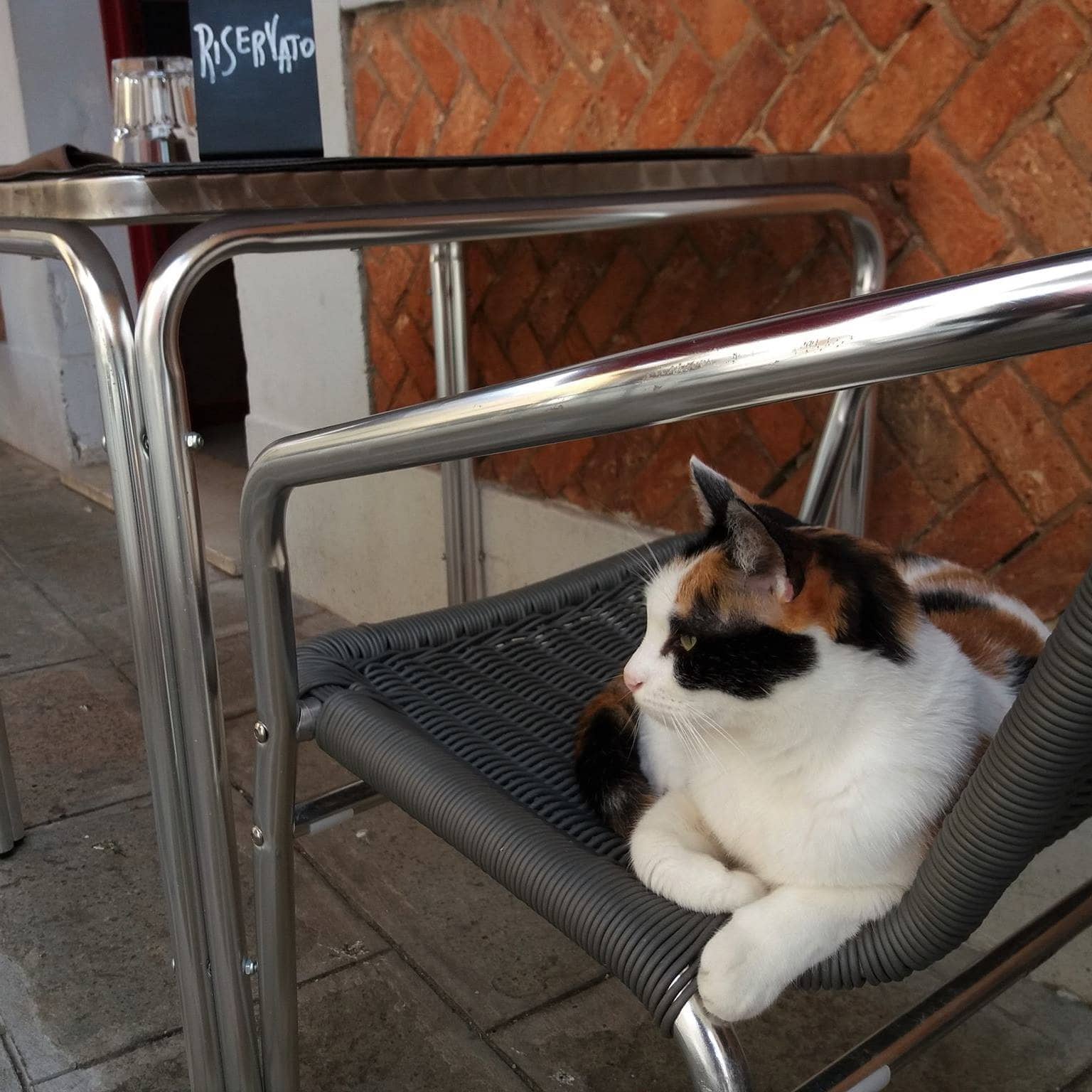 Immagine di copertina del ristorante La Tecia Vegana