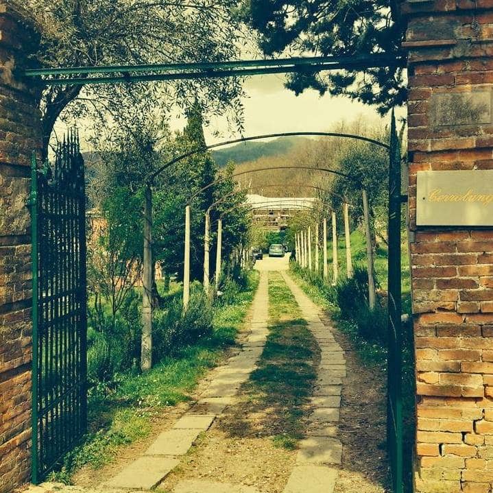 Immagine di copertina del ristorante Agriturismo Cerrolungo