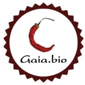 Immagine di copertina del ristorante GAIA BIO