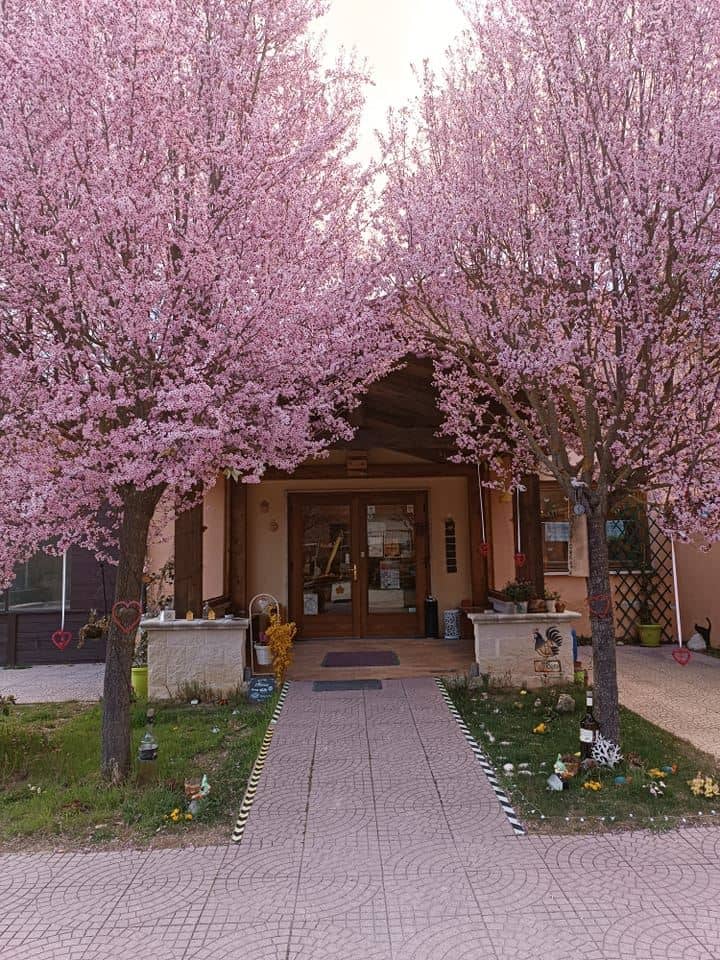 Immagine di copertina del ristorante Ristorante Valle
