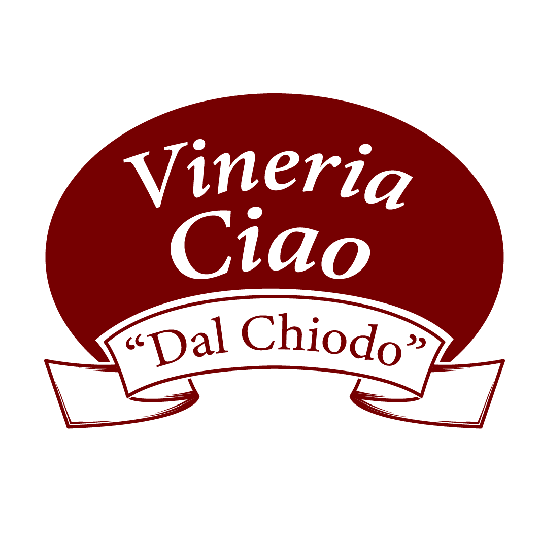 Immagine di copertina del ristorante Vineria Dal Chiodo