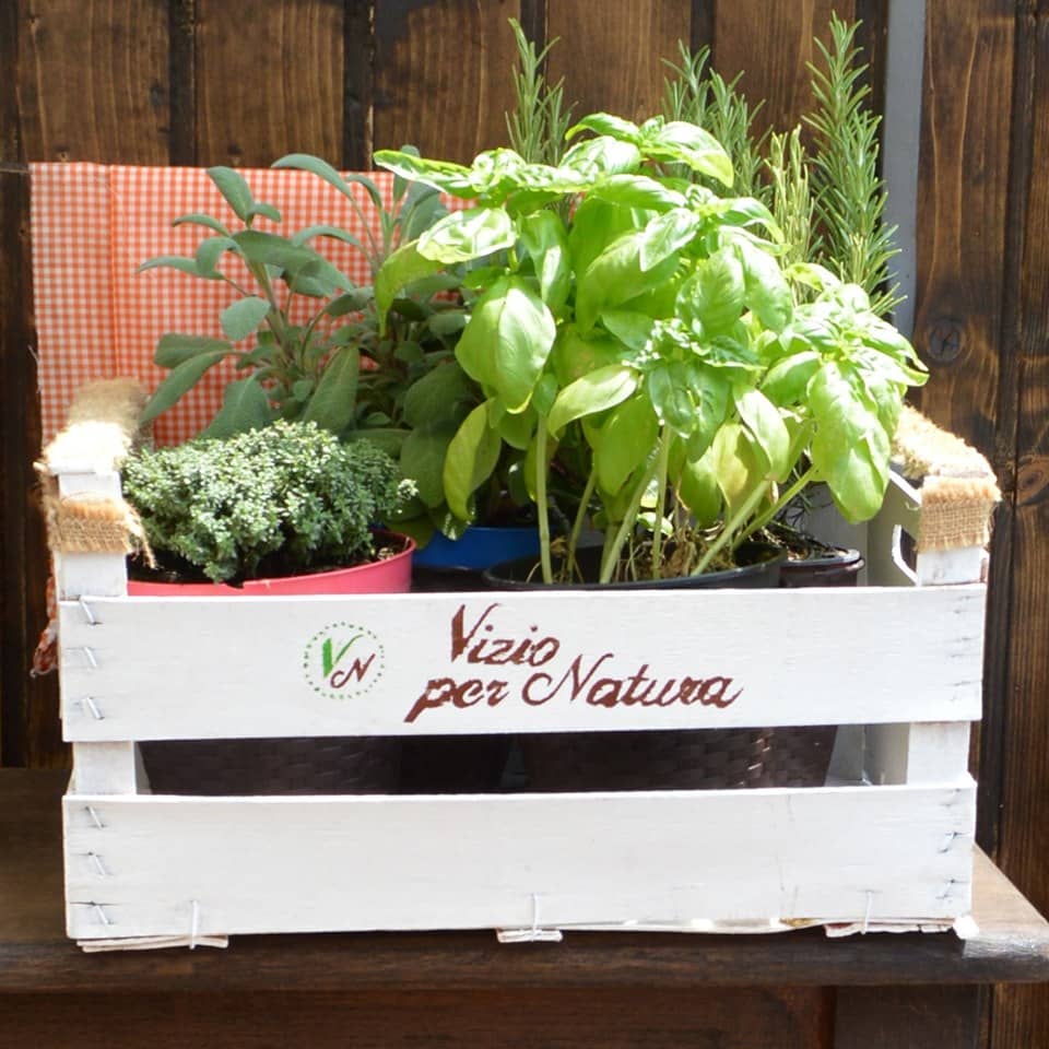 Immagine di copertina del ristorante Vizio per natura